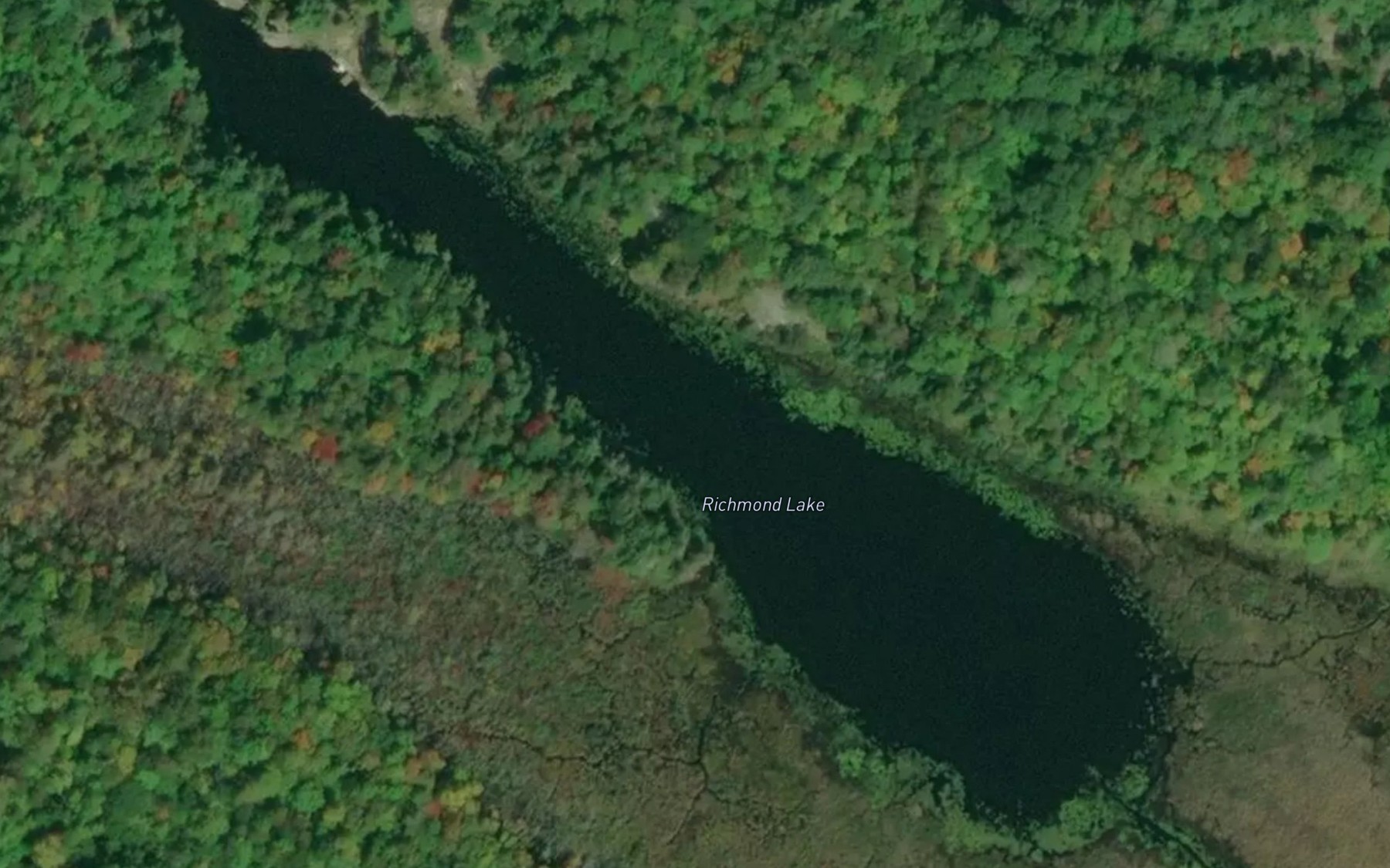 Satellite map of the Richmond Lake