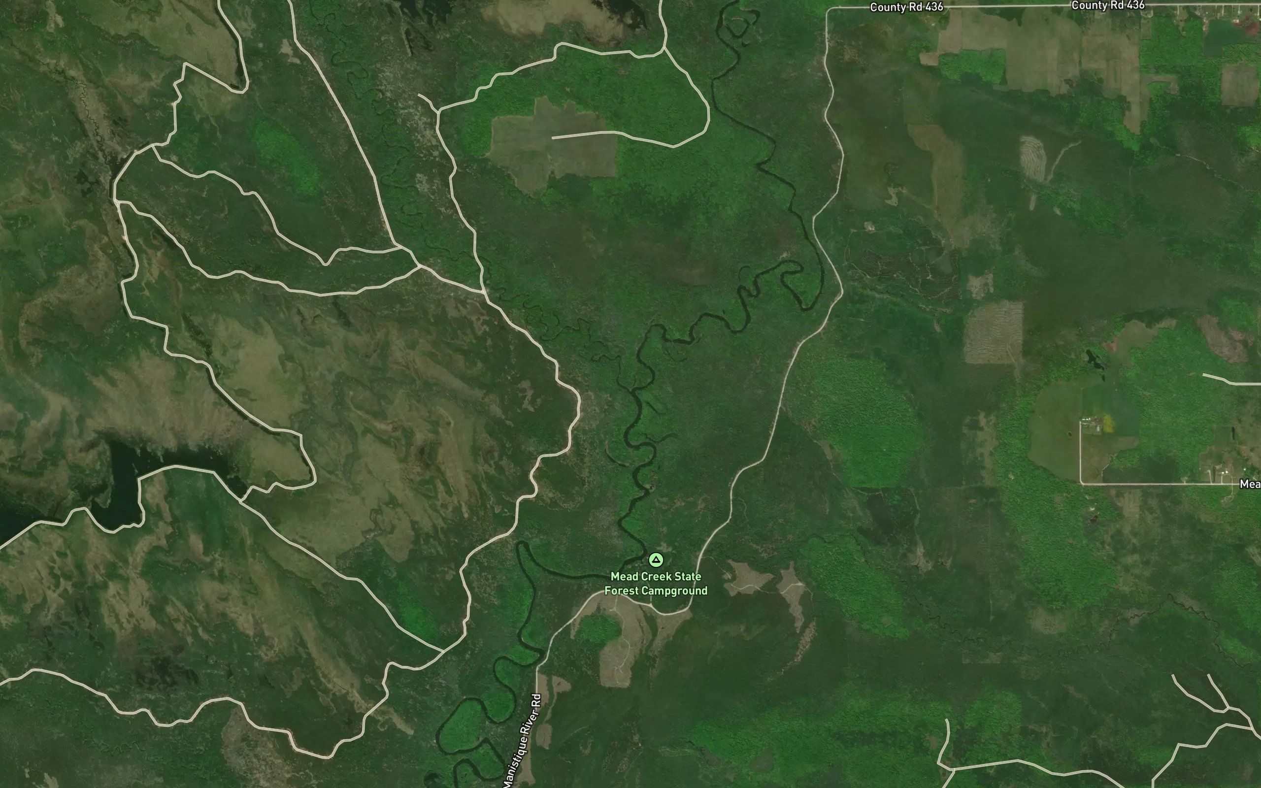 Driggs River