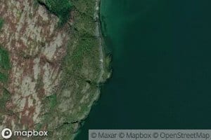 Agnvika