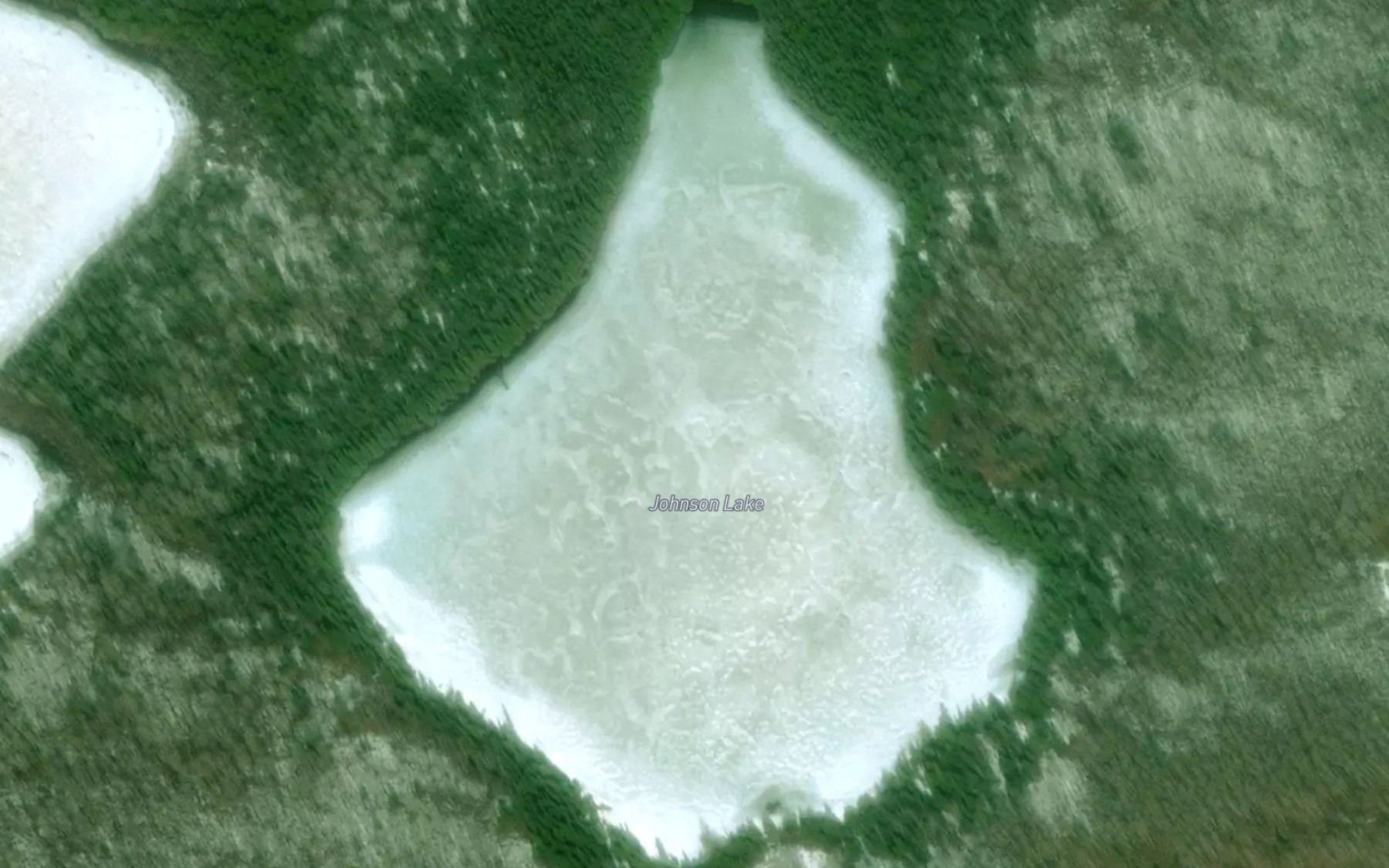 Satellite map of the Johnson Lake