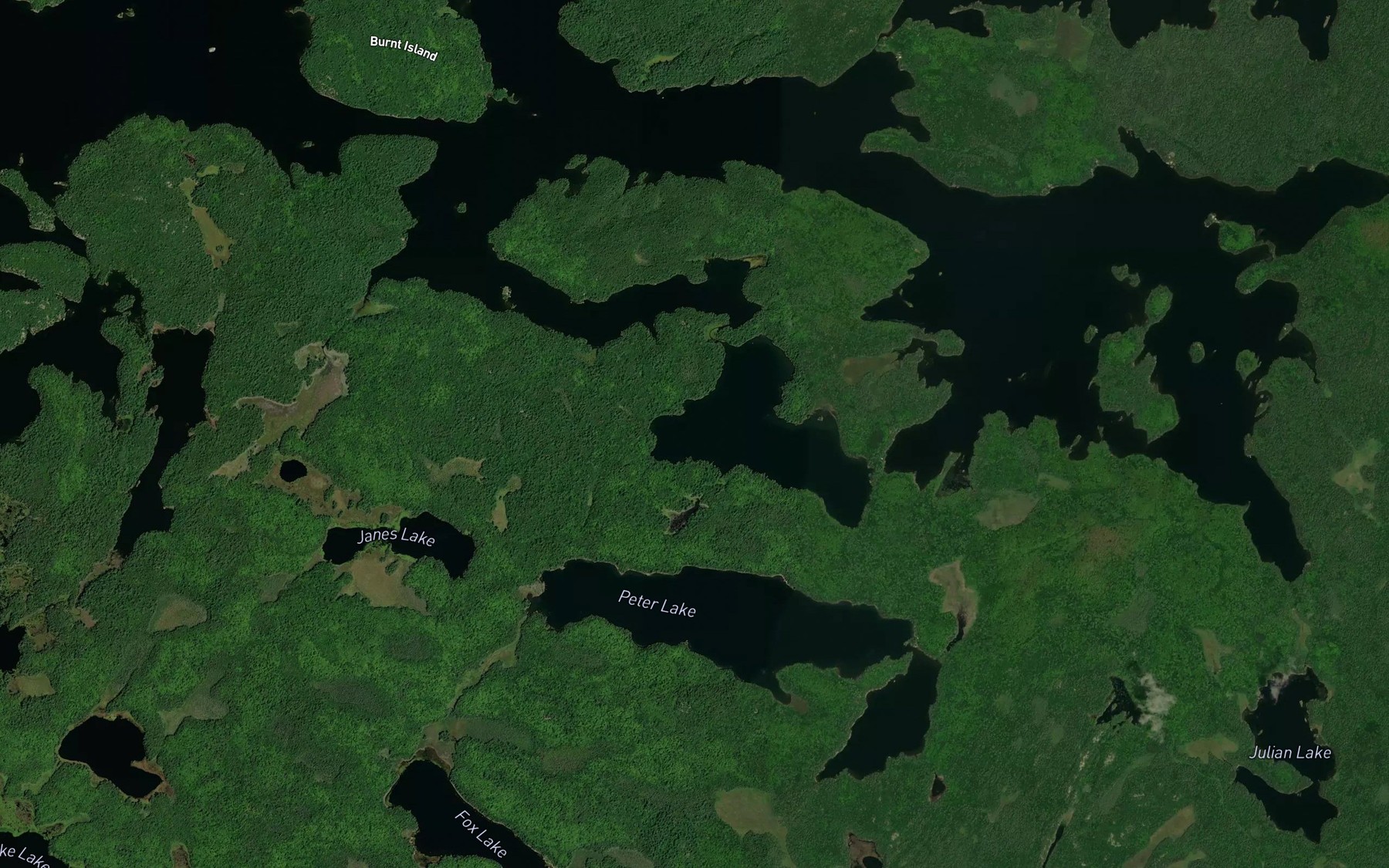 Satellite map of the Archie Bay