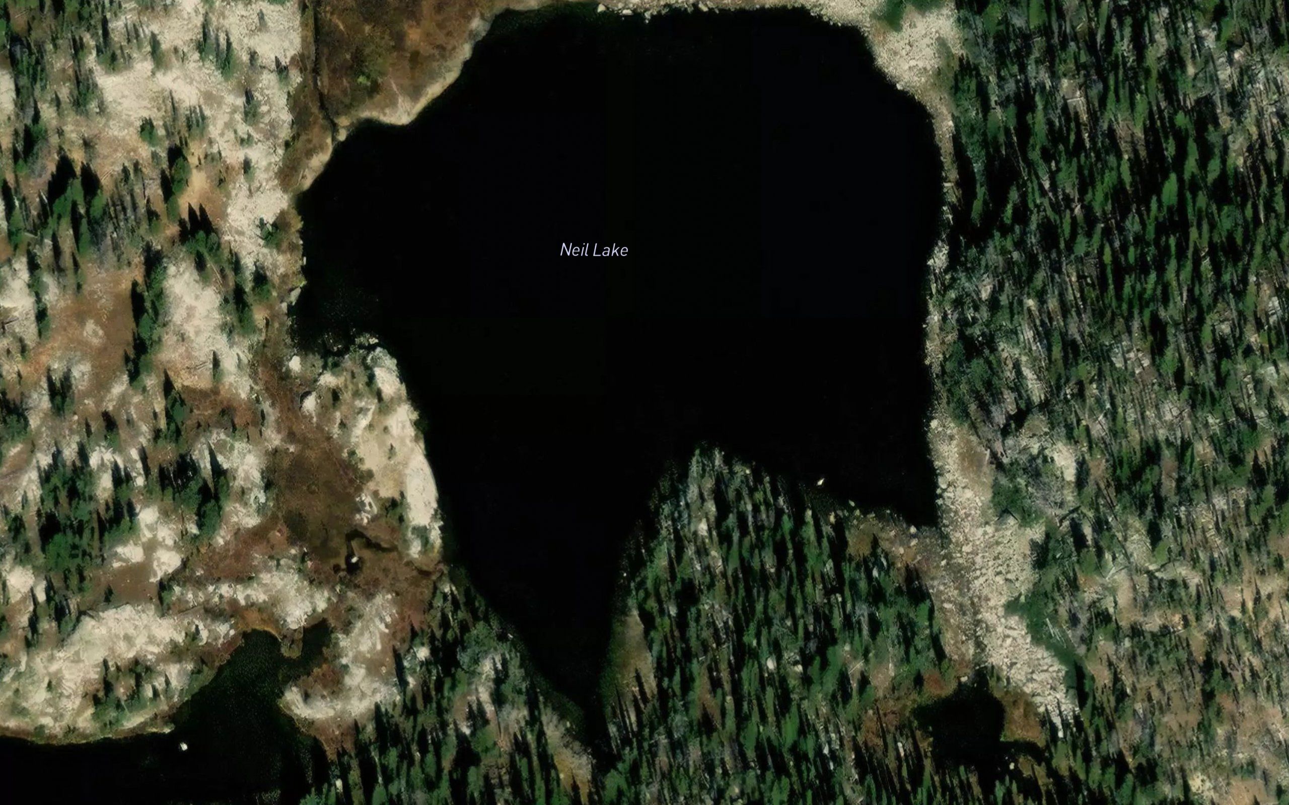 Neil Lake