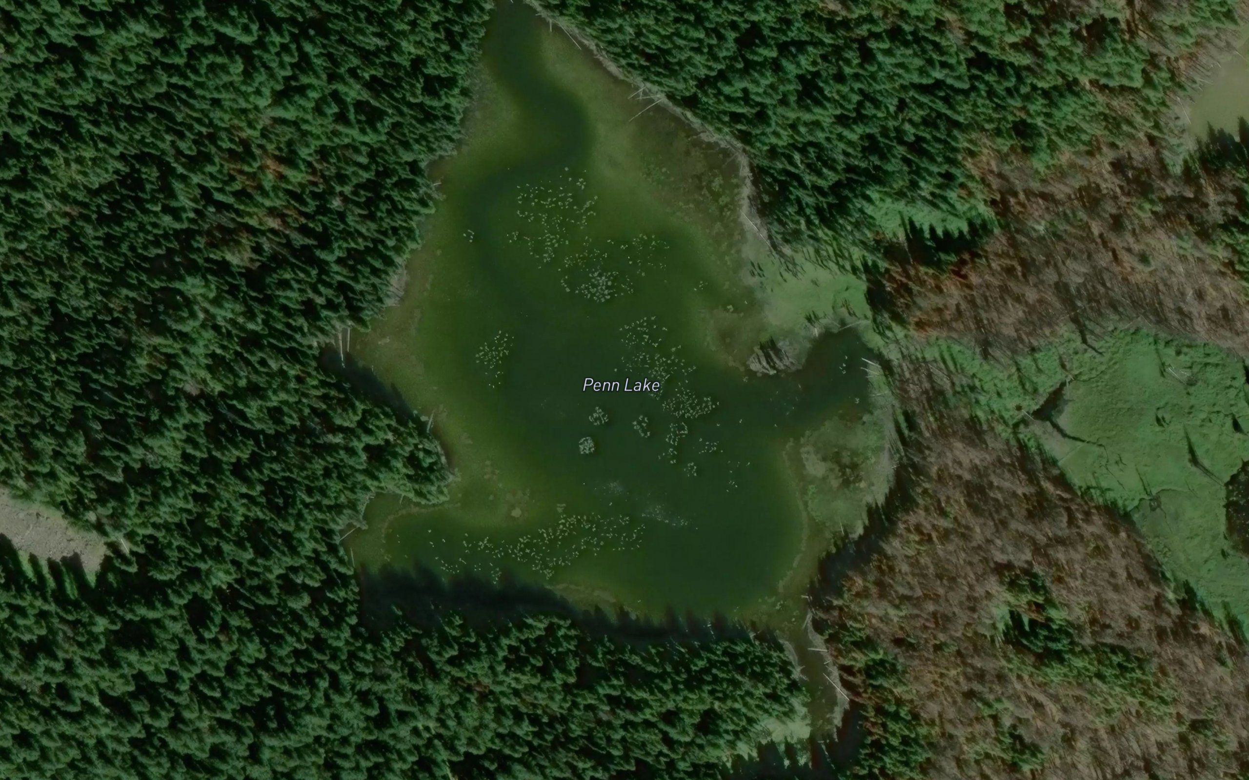Penn Lake