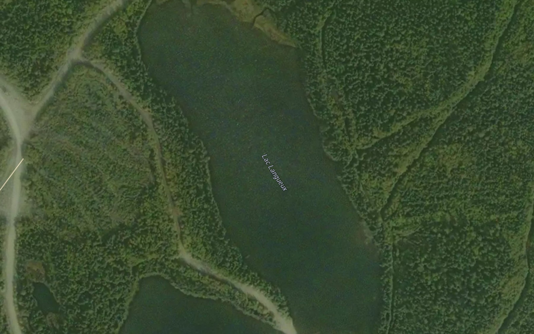 Satellite map of the Lac Lagueux