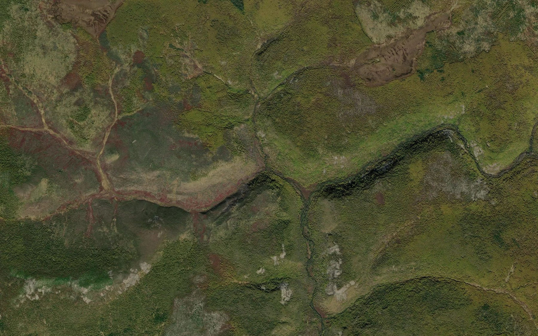 Satellite map of the Bolotnyy