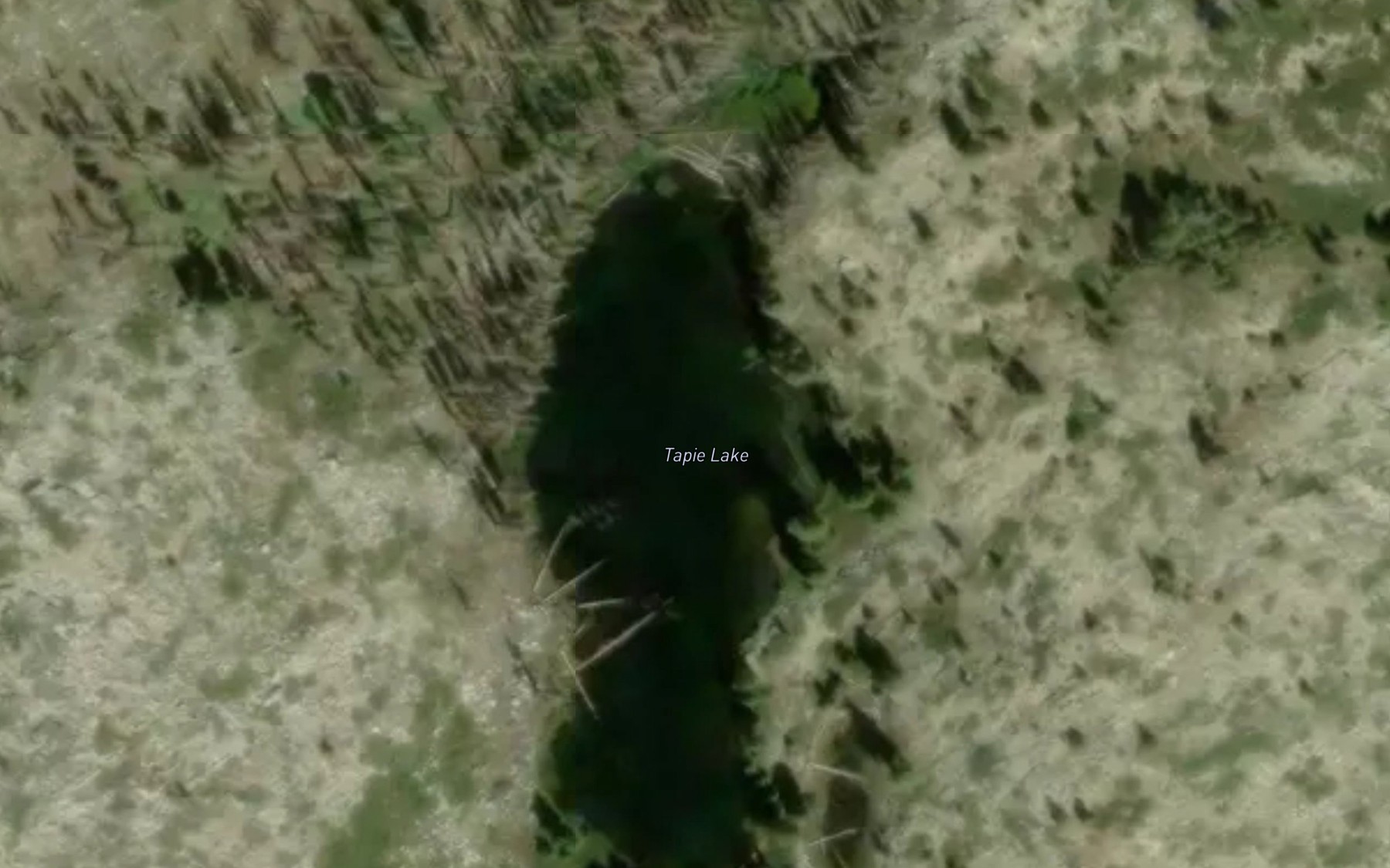 Satellite map of the Tapie Lake