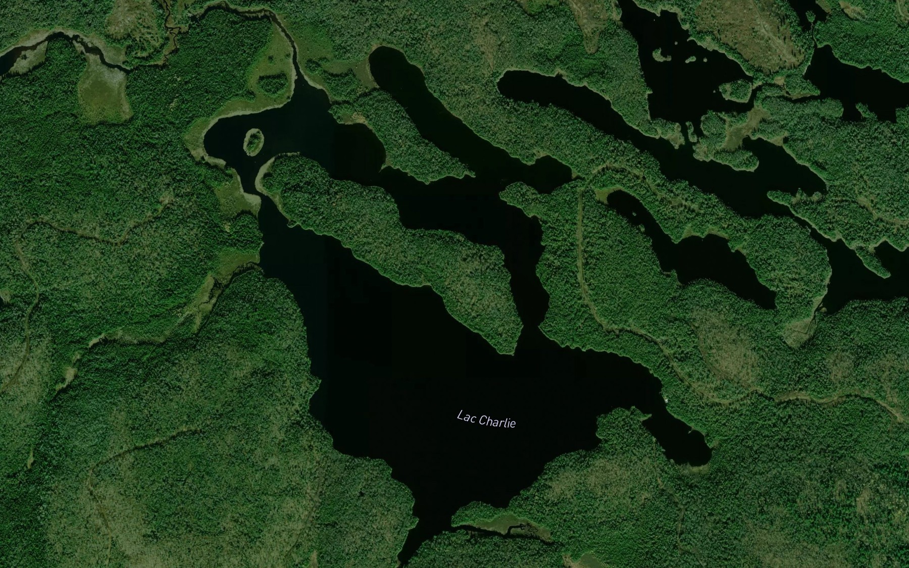Satellite map of the Lac Charlie