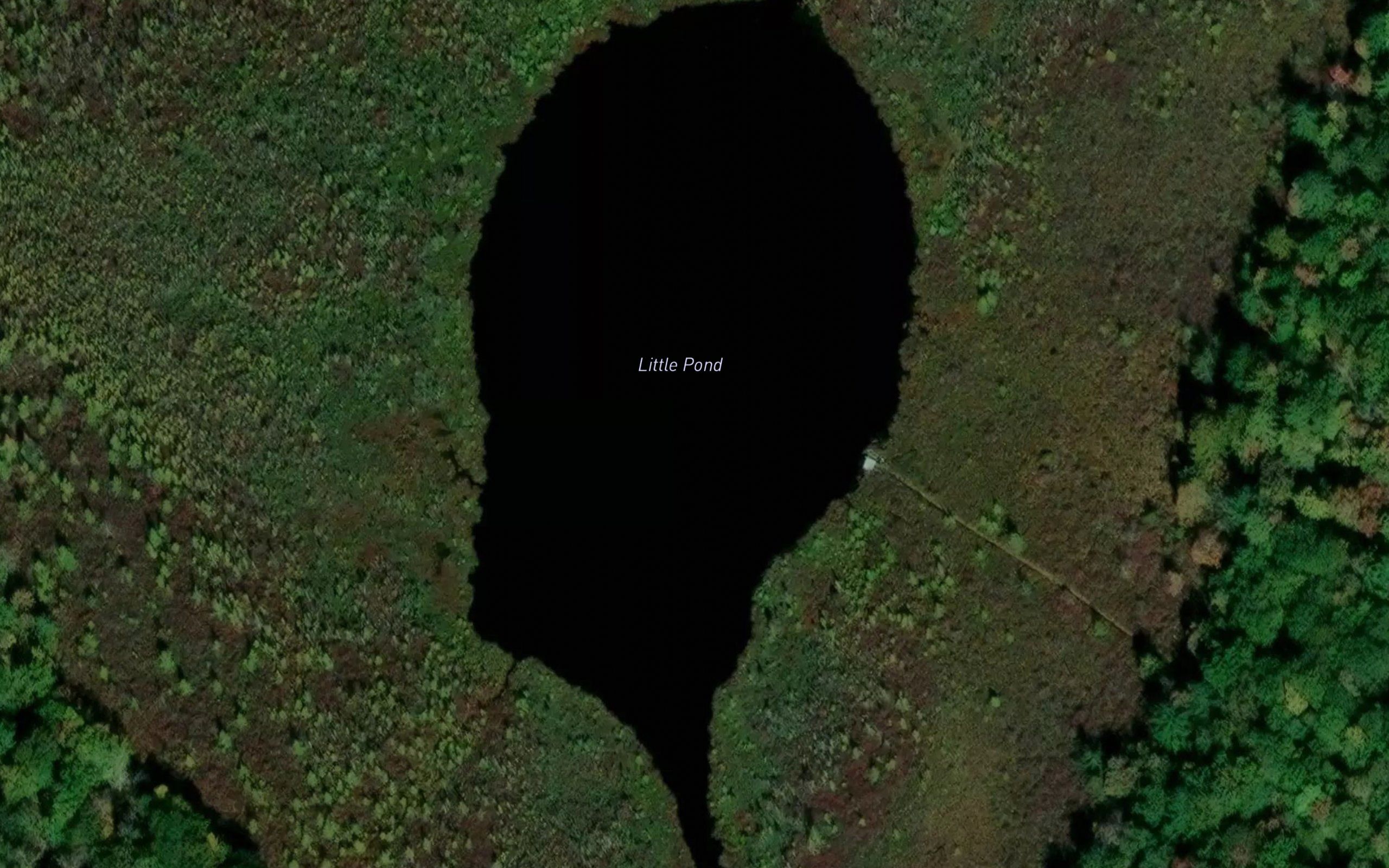 Little Pond