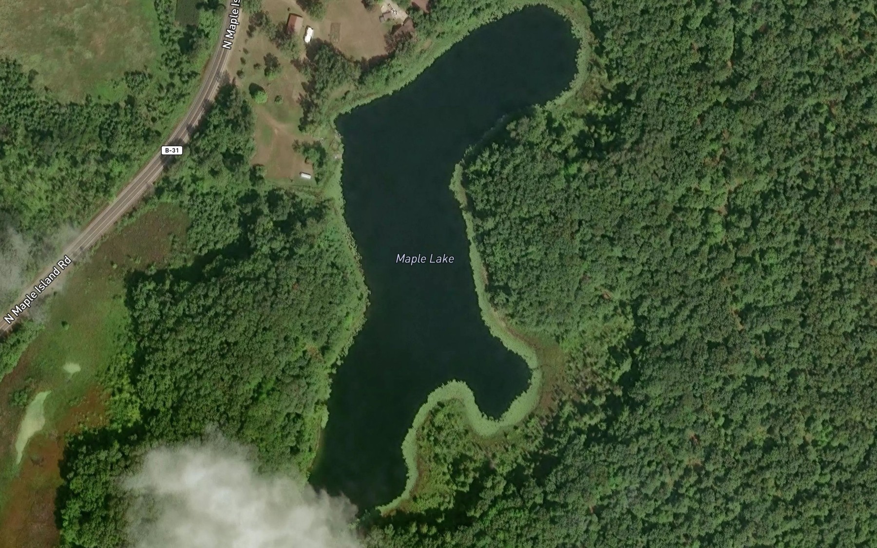 Satellite map of the Maple Lake