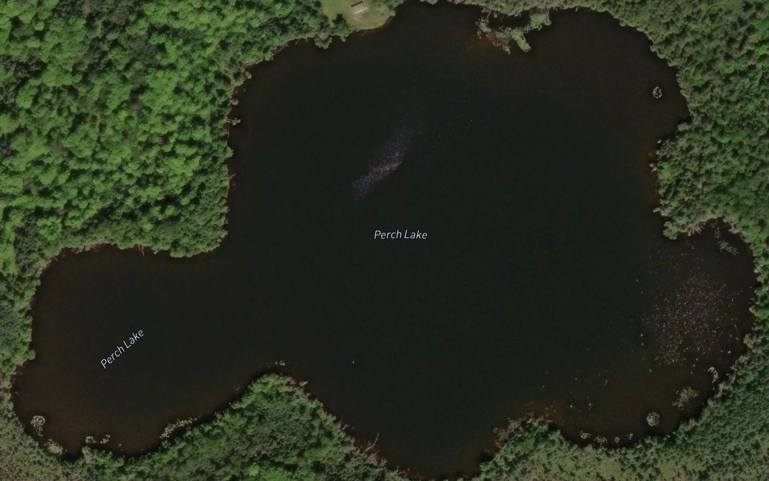 Perch Lake