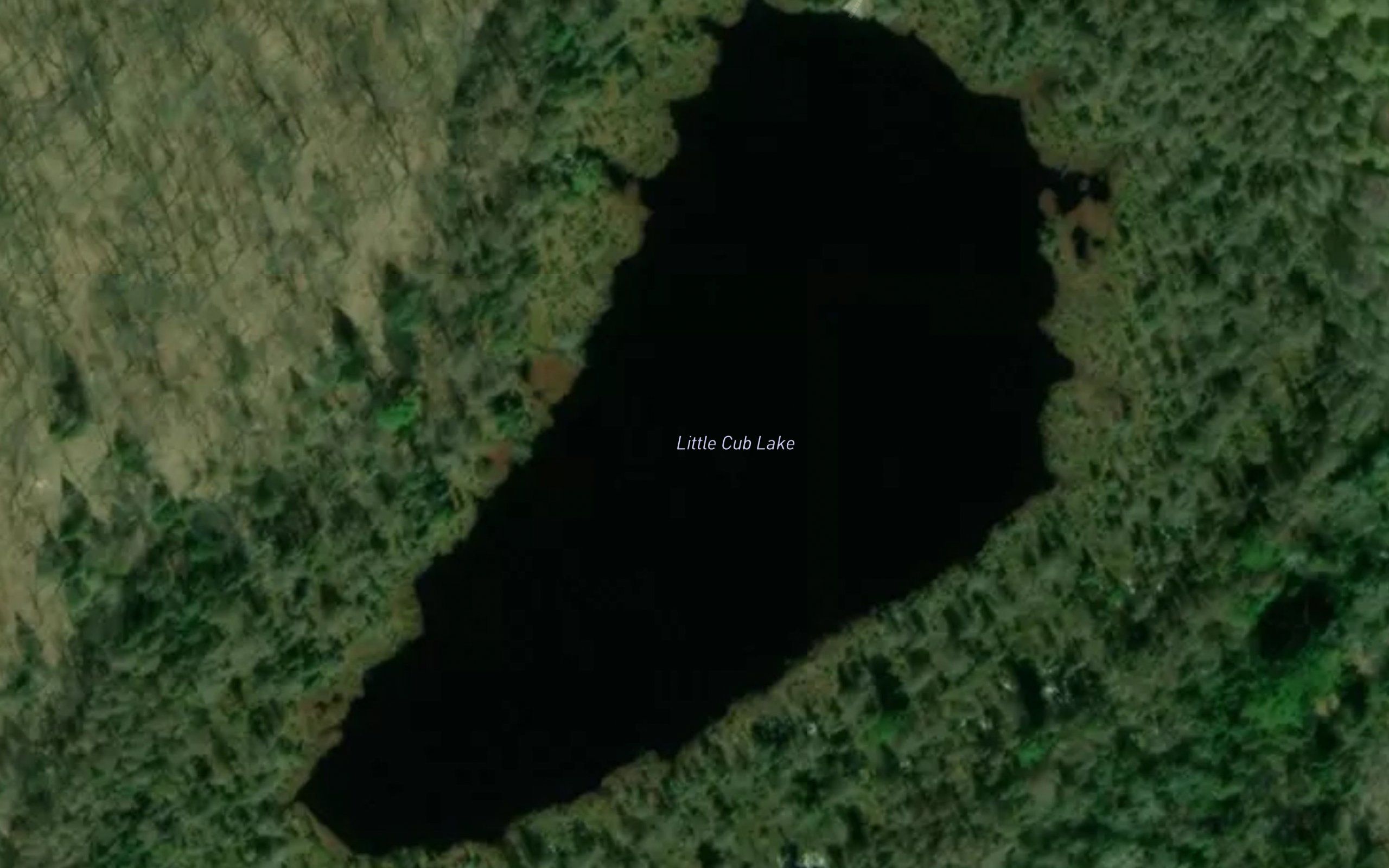 Little Cub Lake