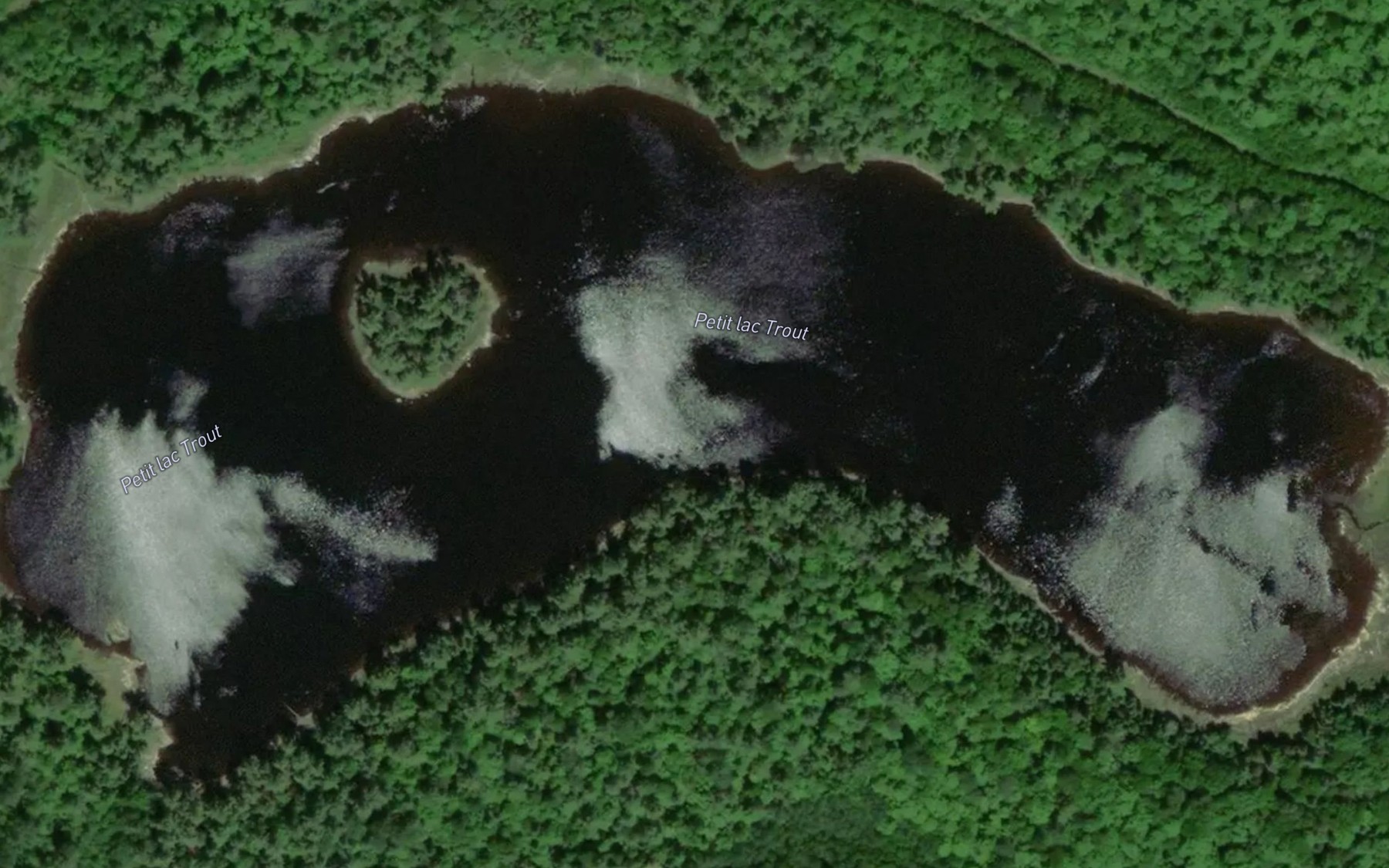 Satellite map of the Petit lac Trout