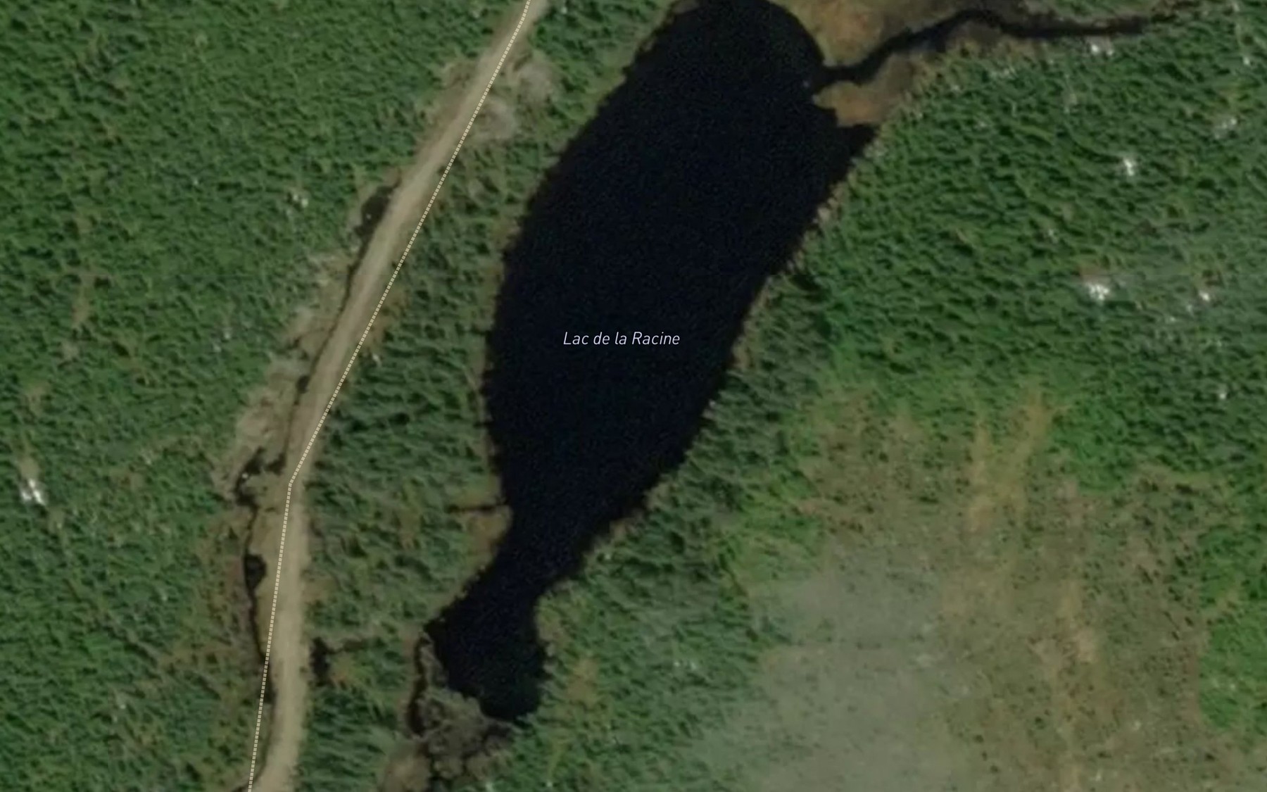 Satellite map of the Lac de la Racine