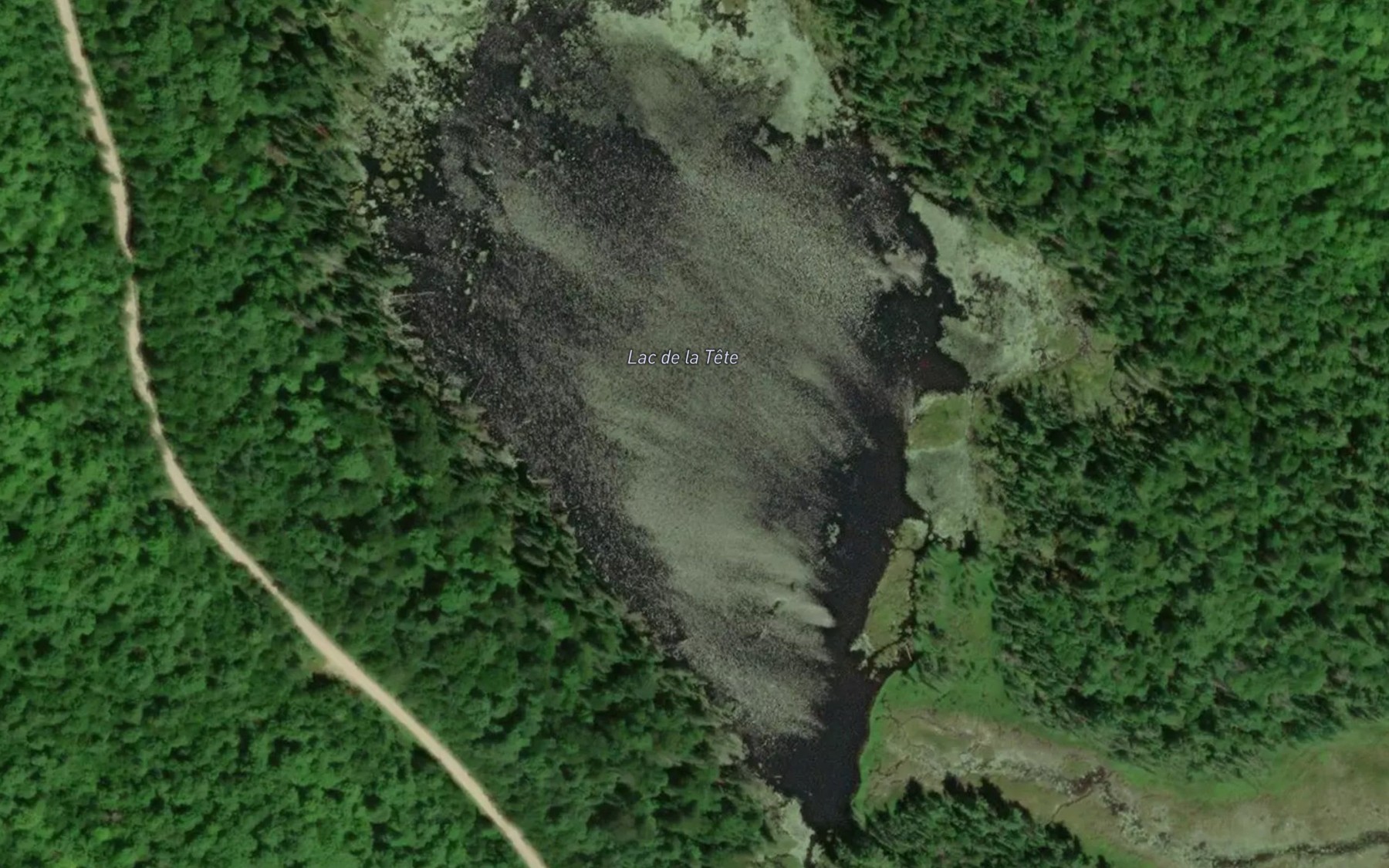 Satellite map of the Lac de la Tete