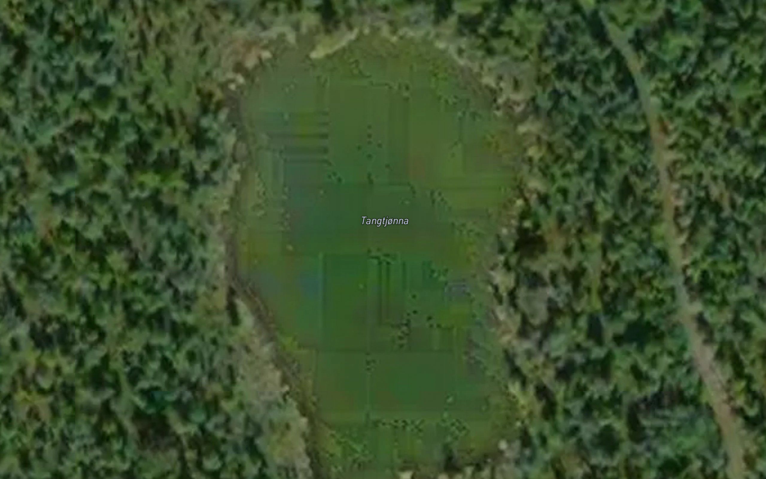 Tangtjorna