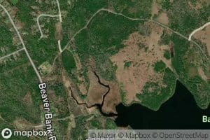 Sandy Lake Brook
