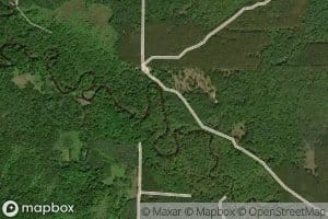 Woody Creek