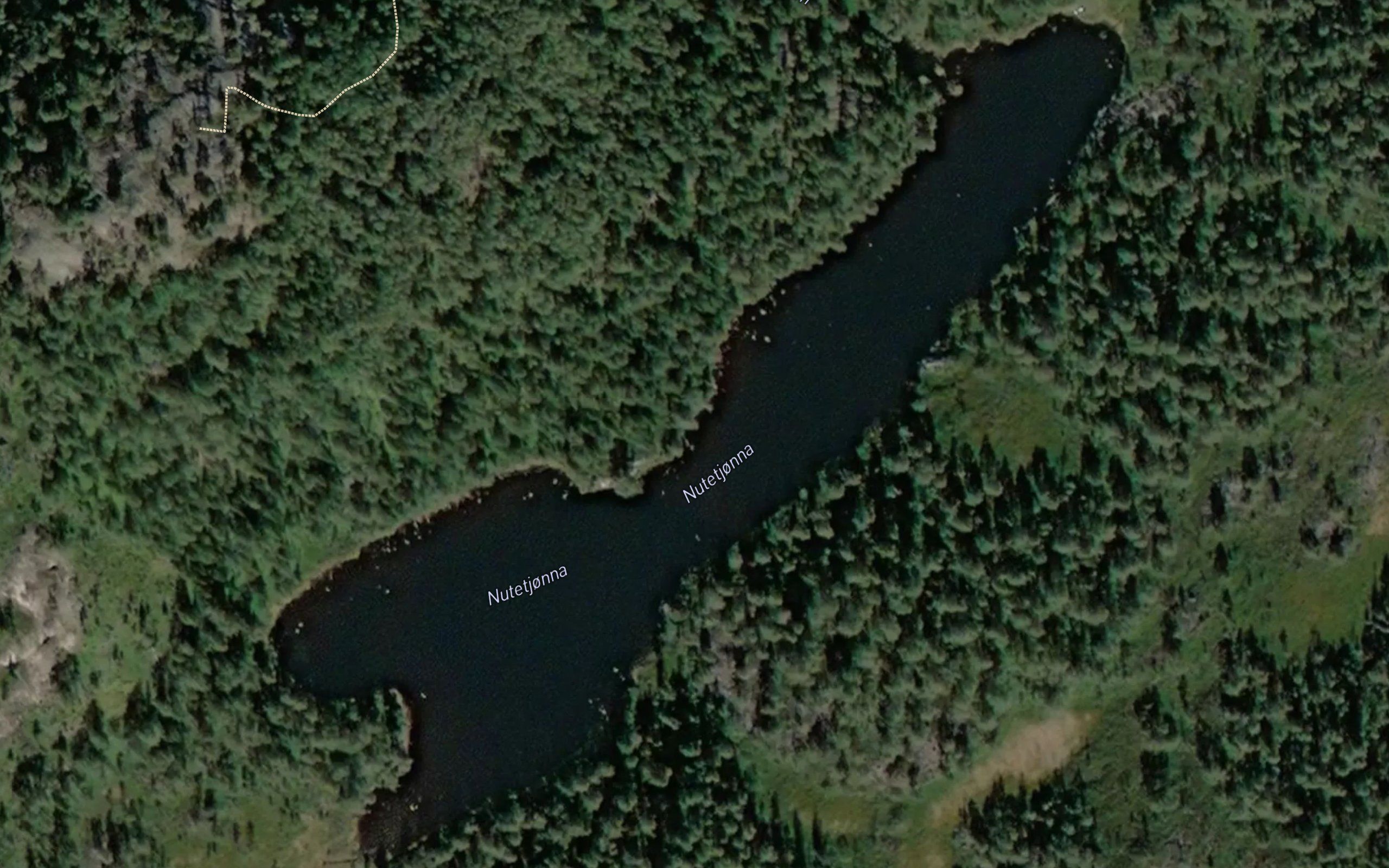 Nutetjorna