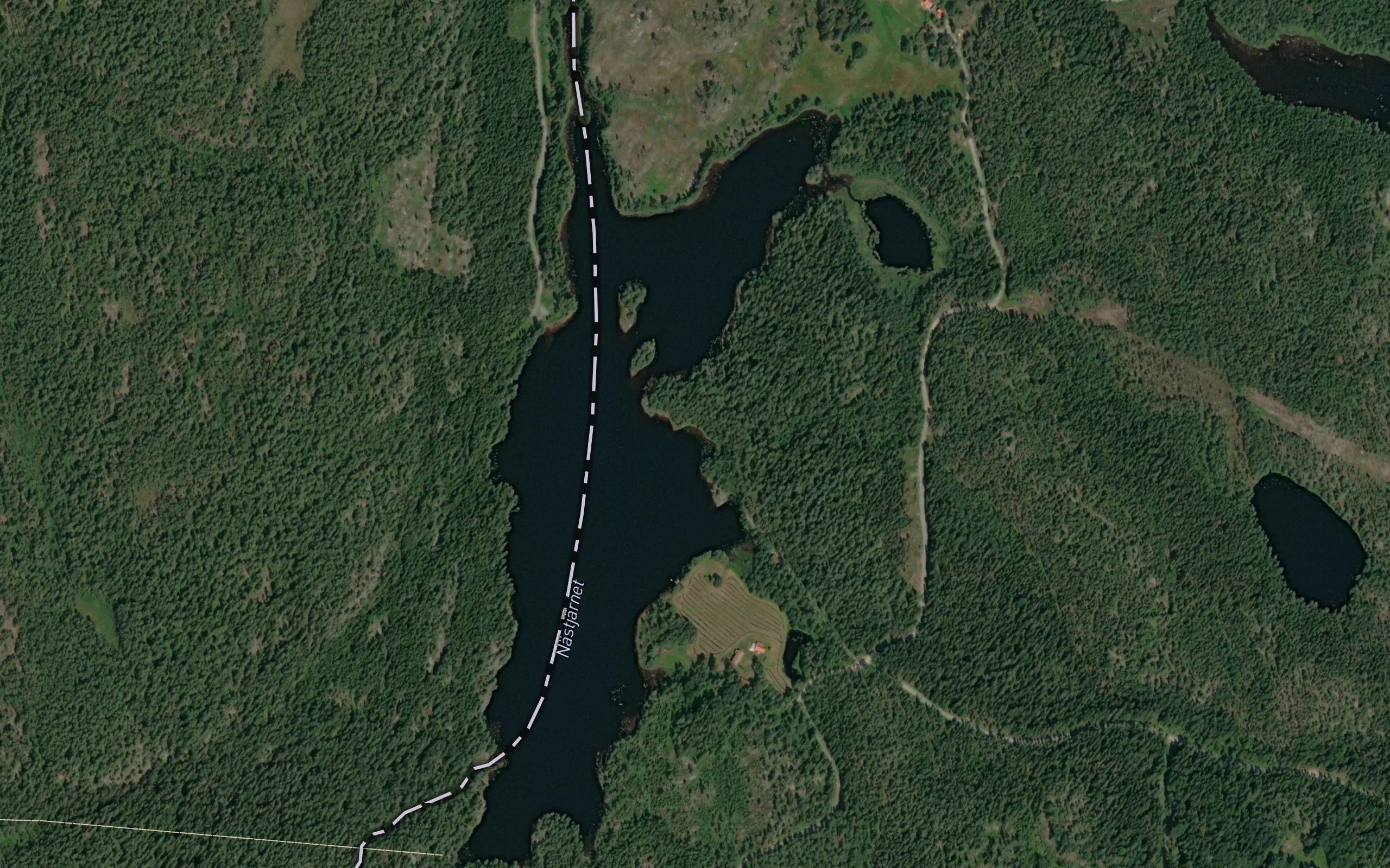 Gressbutjern