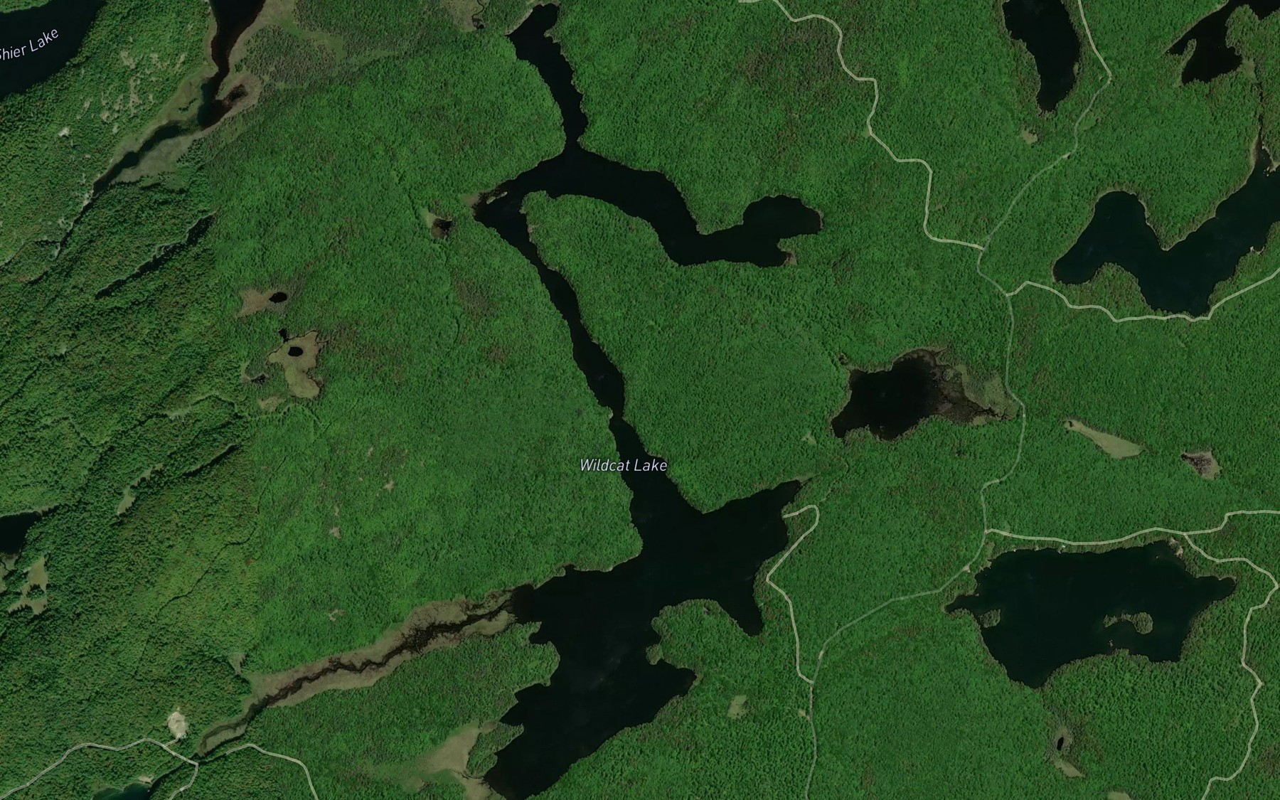 Satellite map of the Wildcat Lake