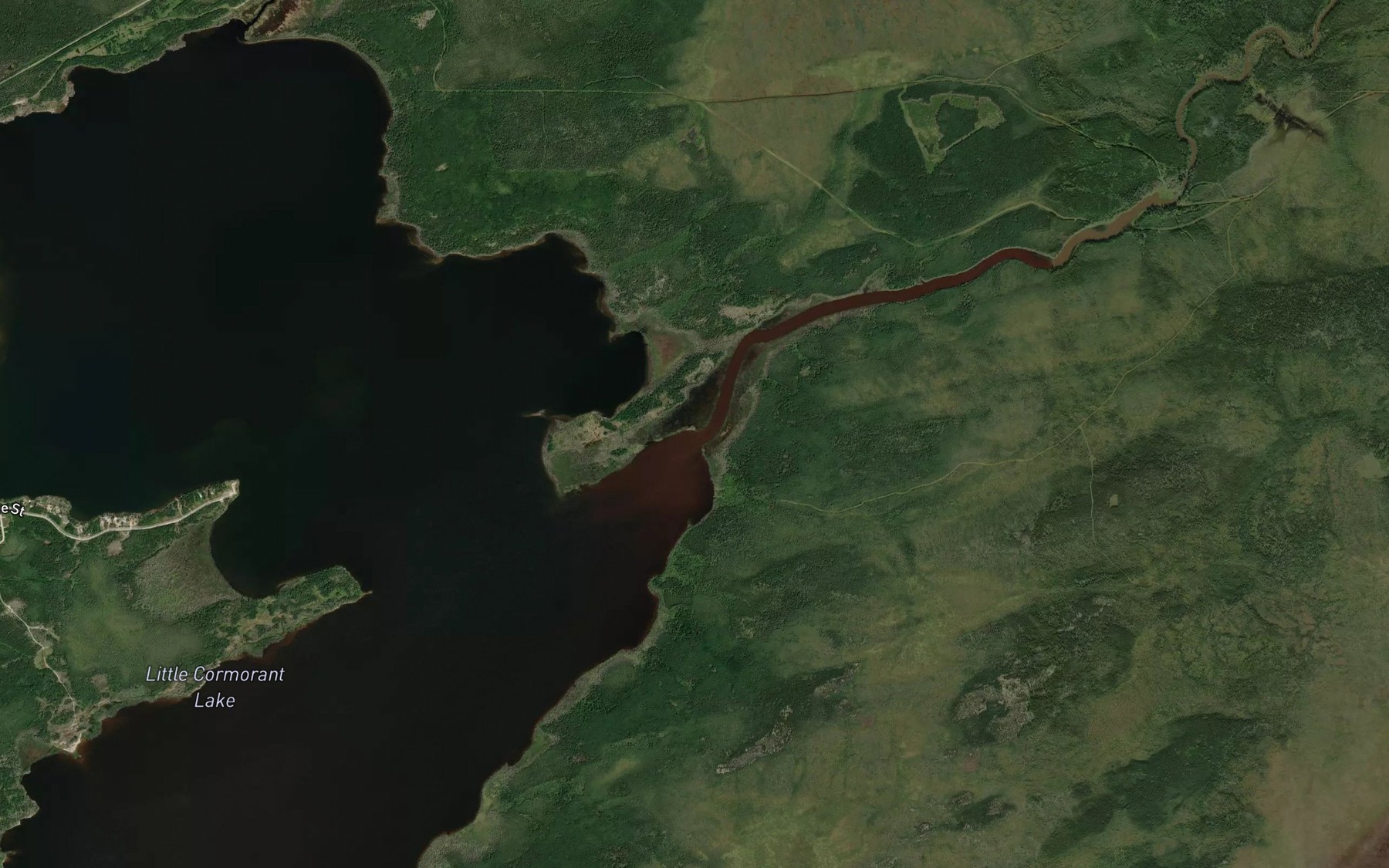 Satellite map of the Pickerel Creek