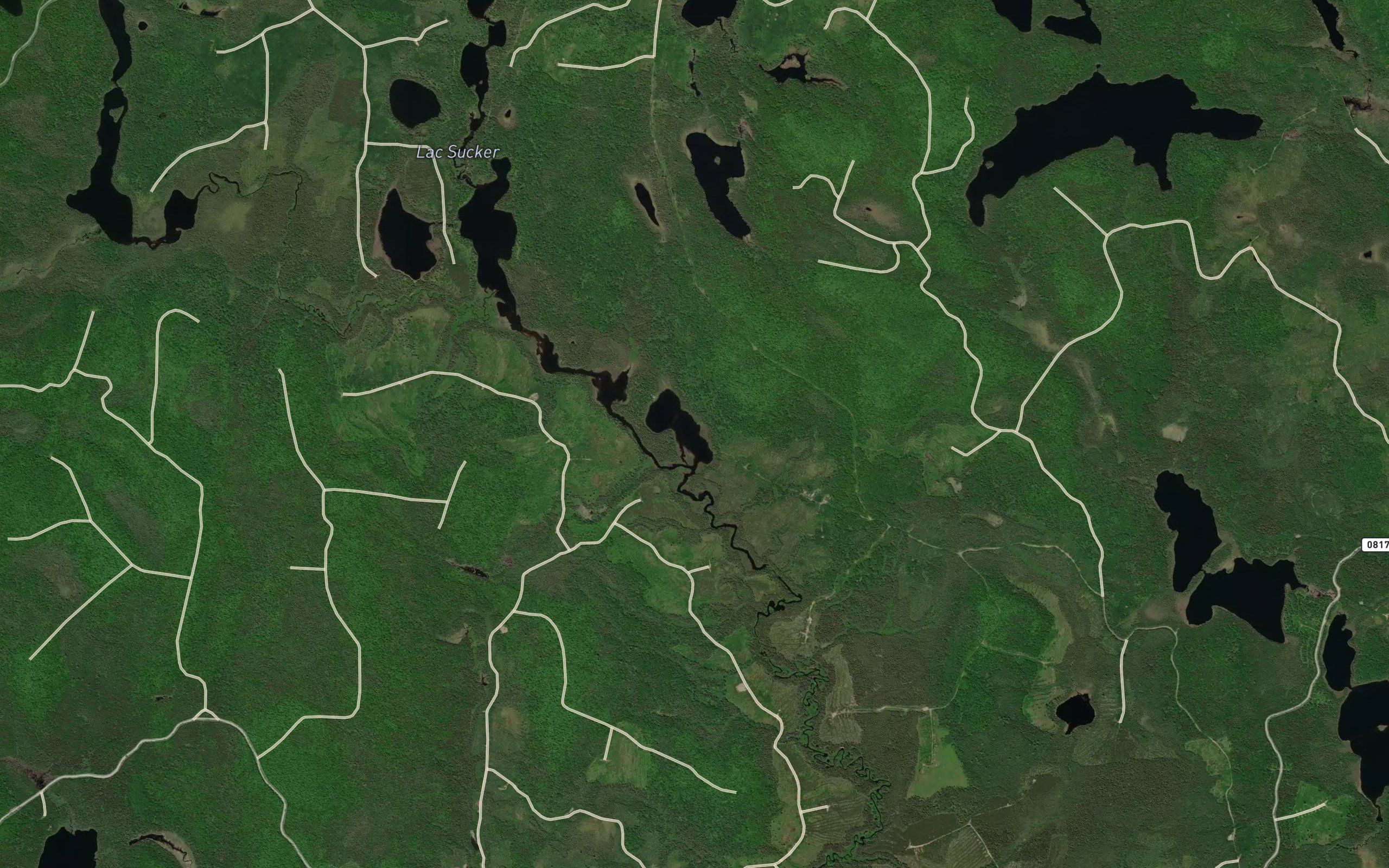 Lac Pustule