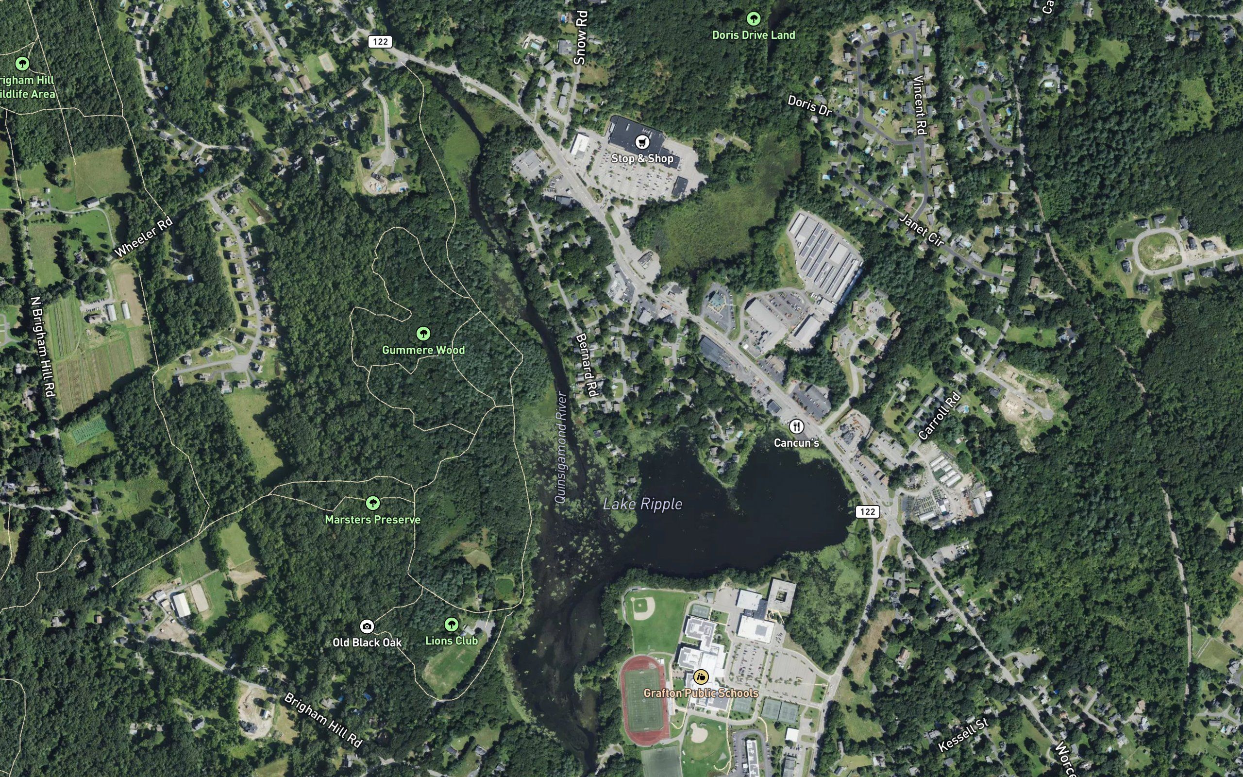 Lake Ripple