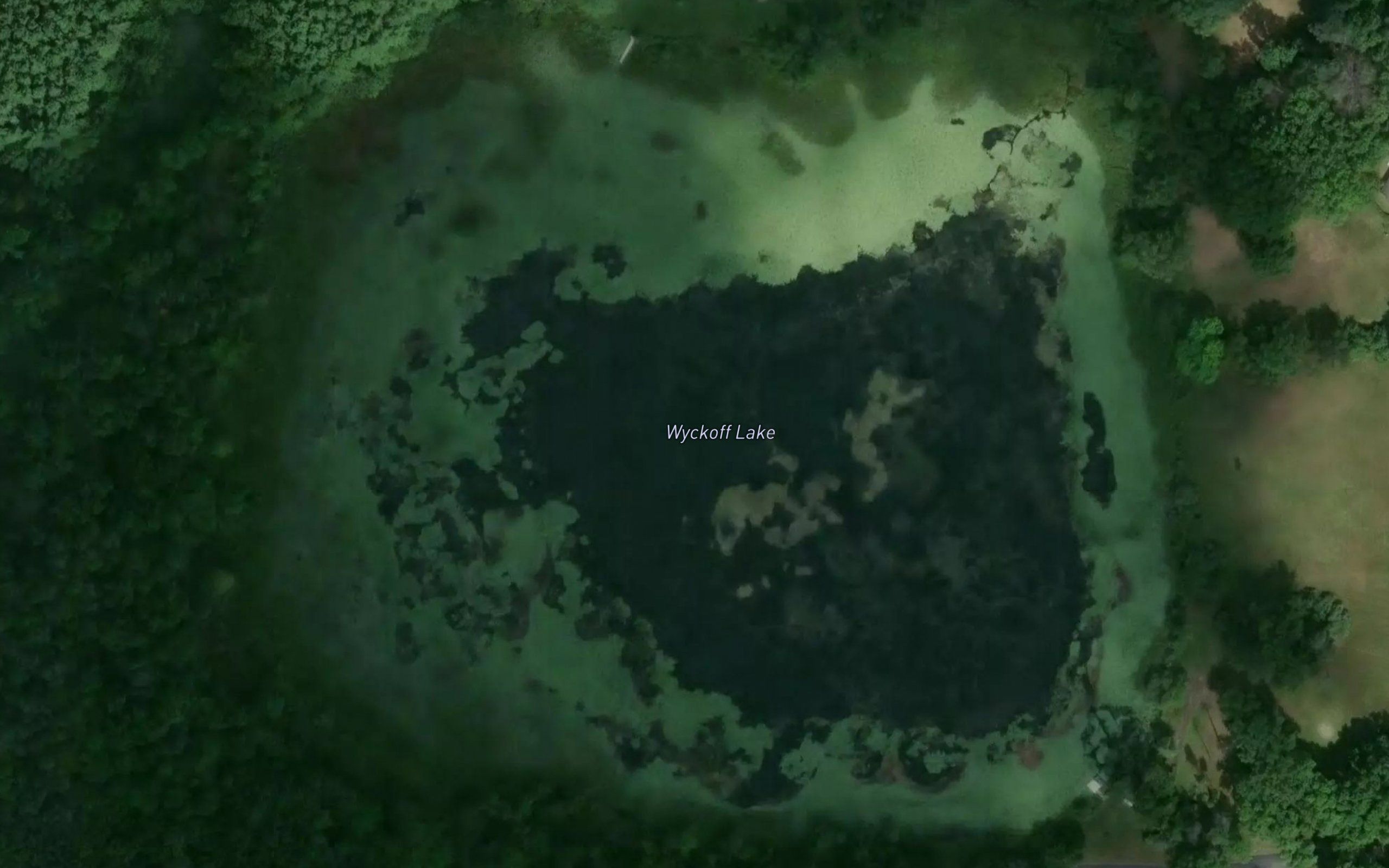 Wyckoff Lake