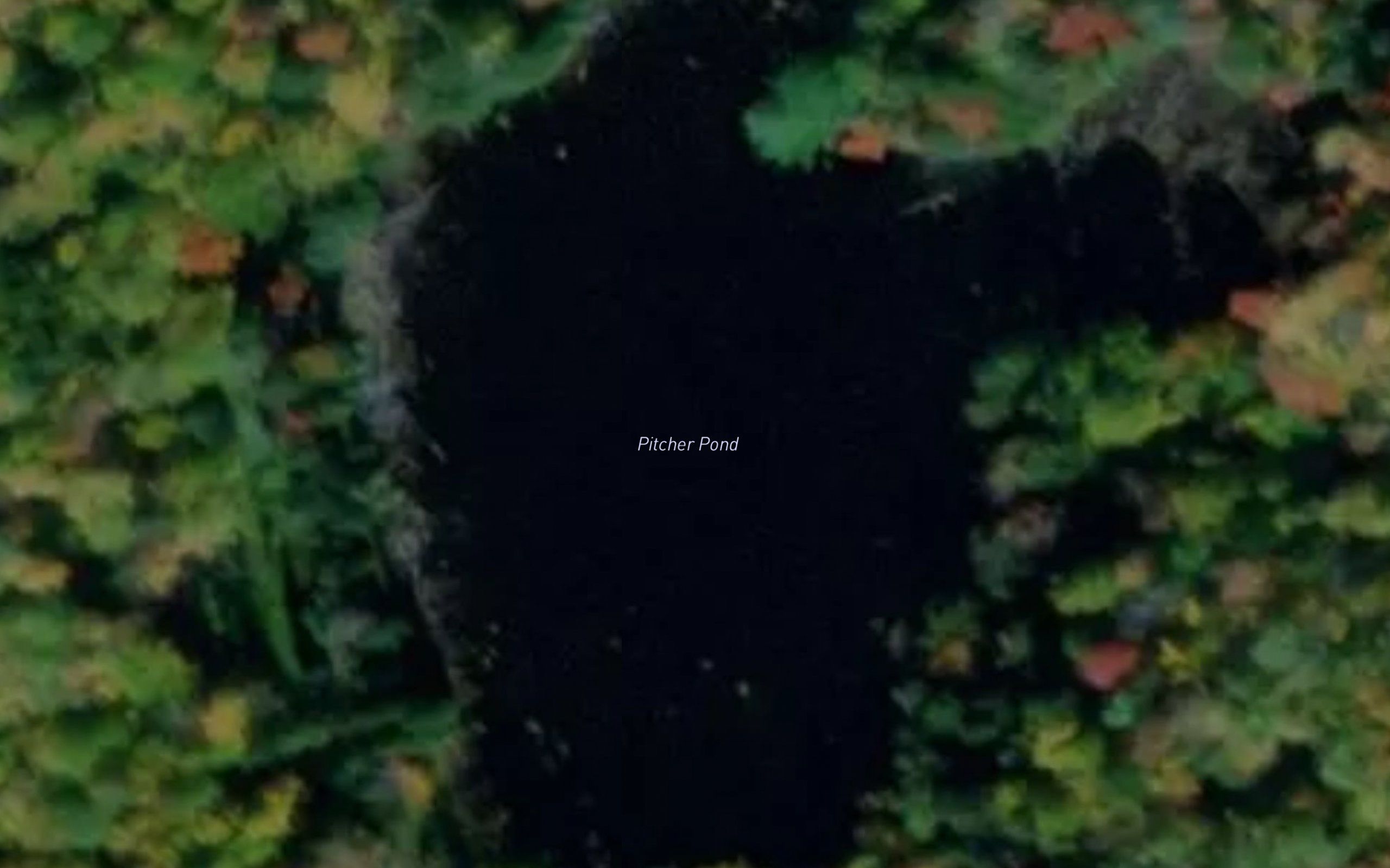 Pitcher Pond