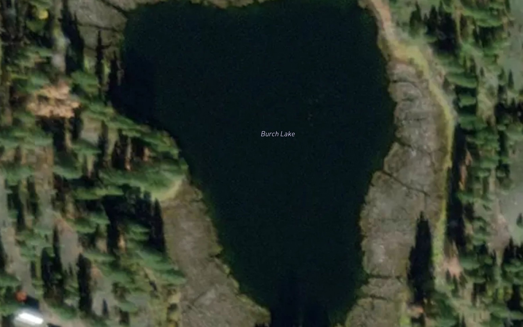 Satellite map of the Burch Lake