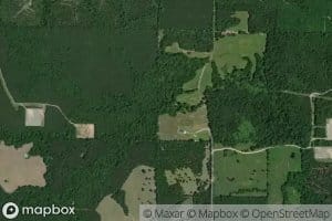 Little Bayou Na Benchasse