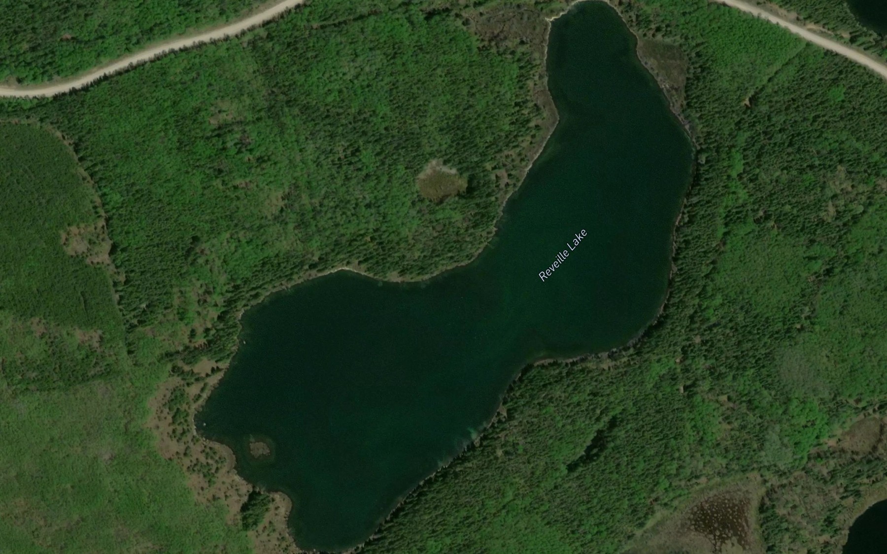Satellite map of the Reveille Lake