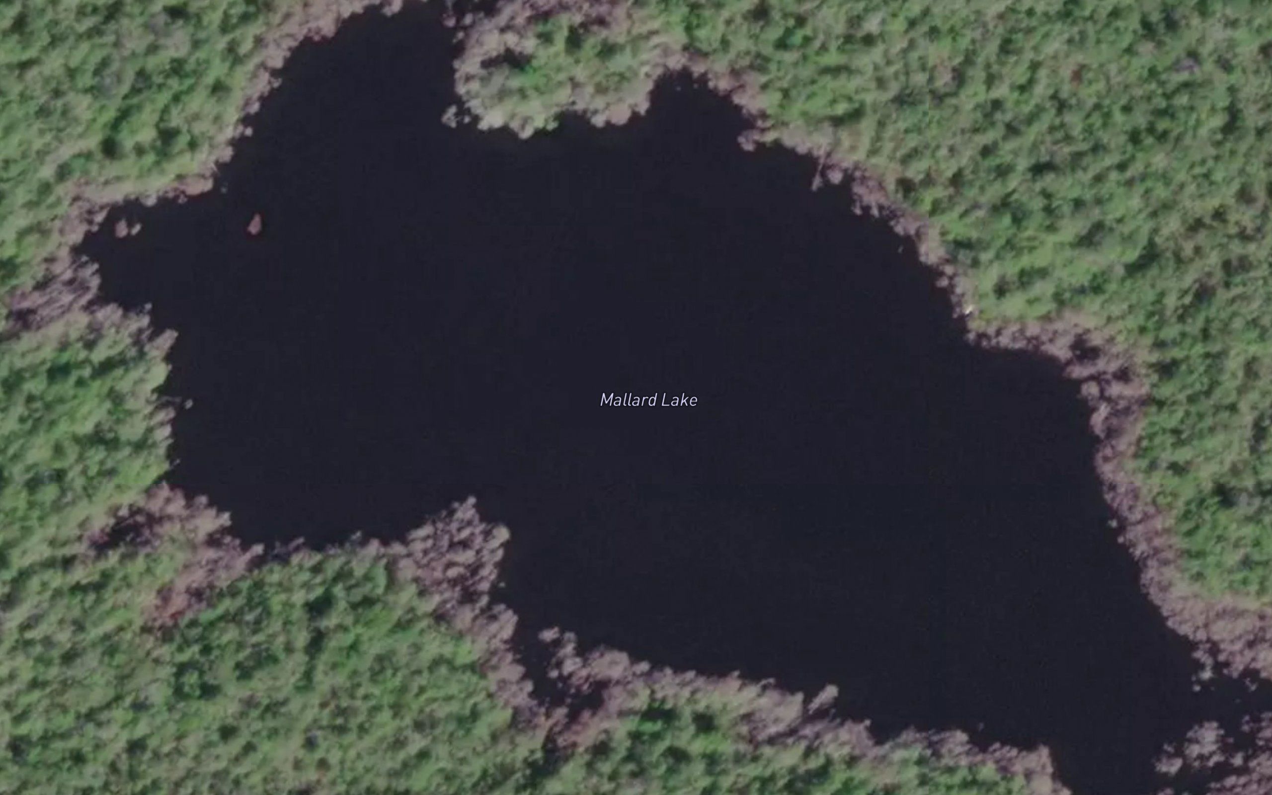 Mallard Lake