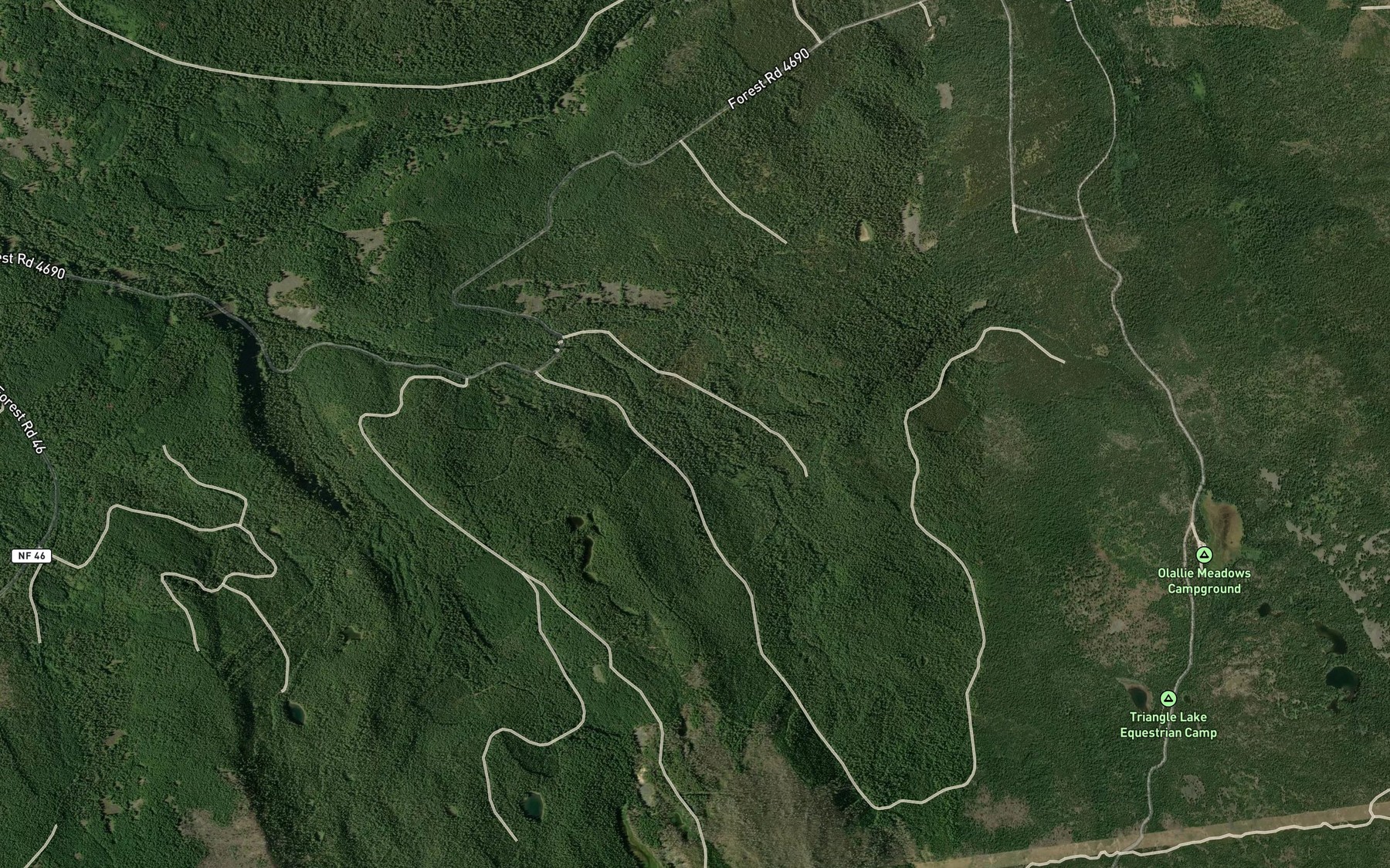 Satellite map of the Olallie Creek