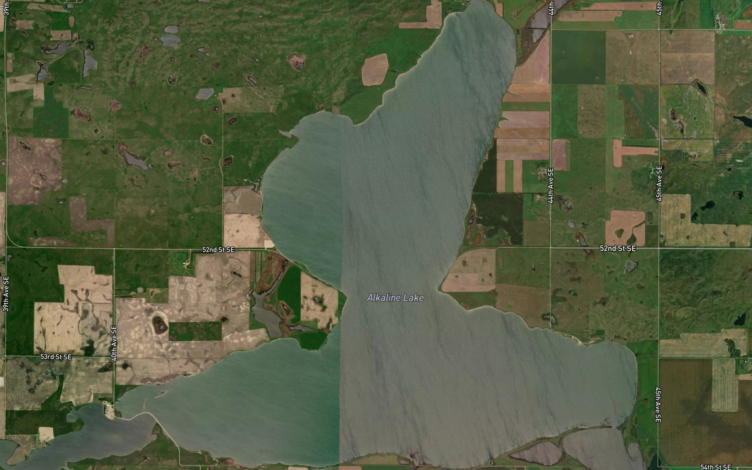 Alkaline Lake
