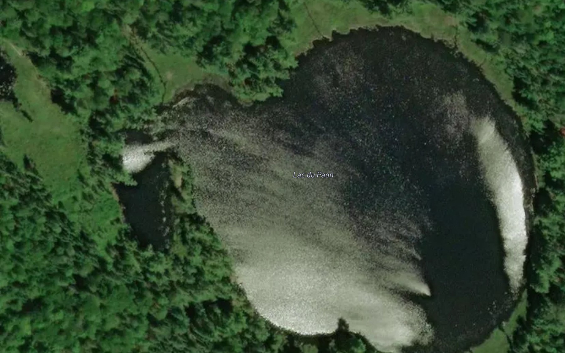 Satellite map of the Lac du Paon