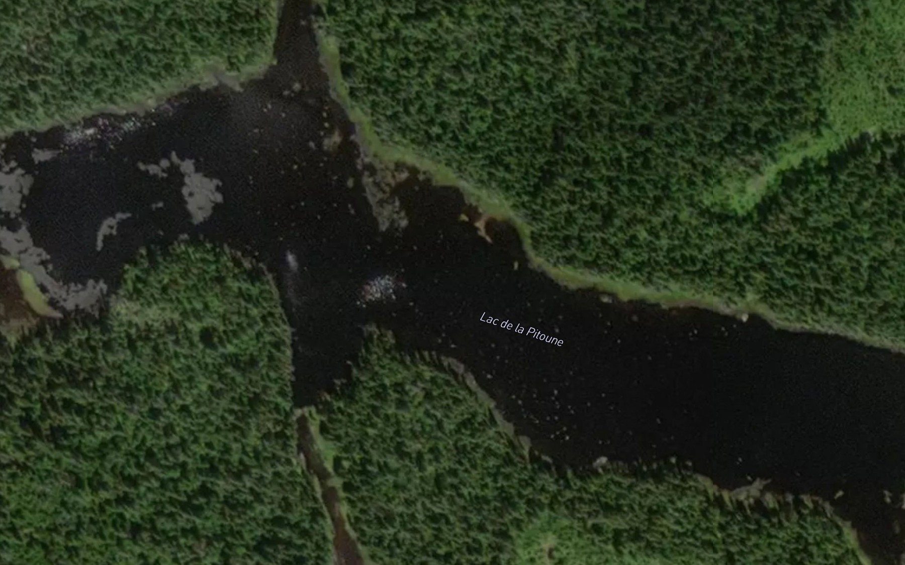 Satellite map of the Lac de la Pitoune