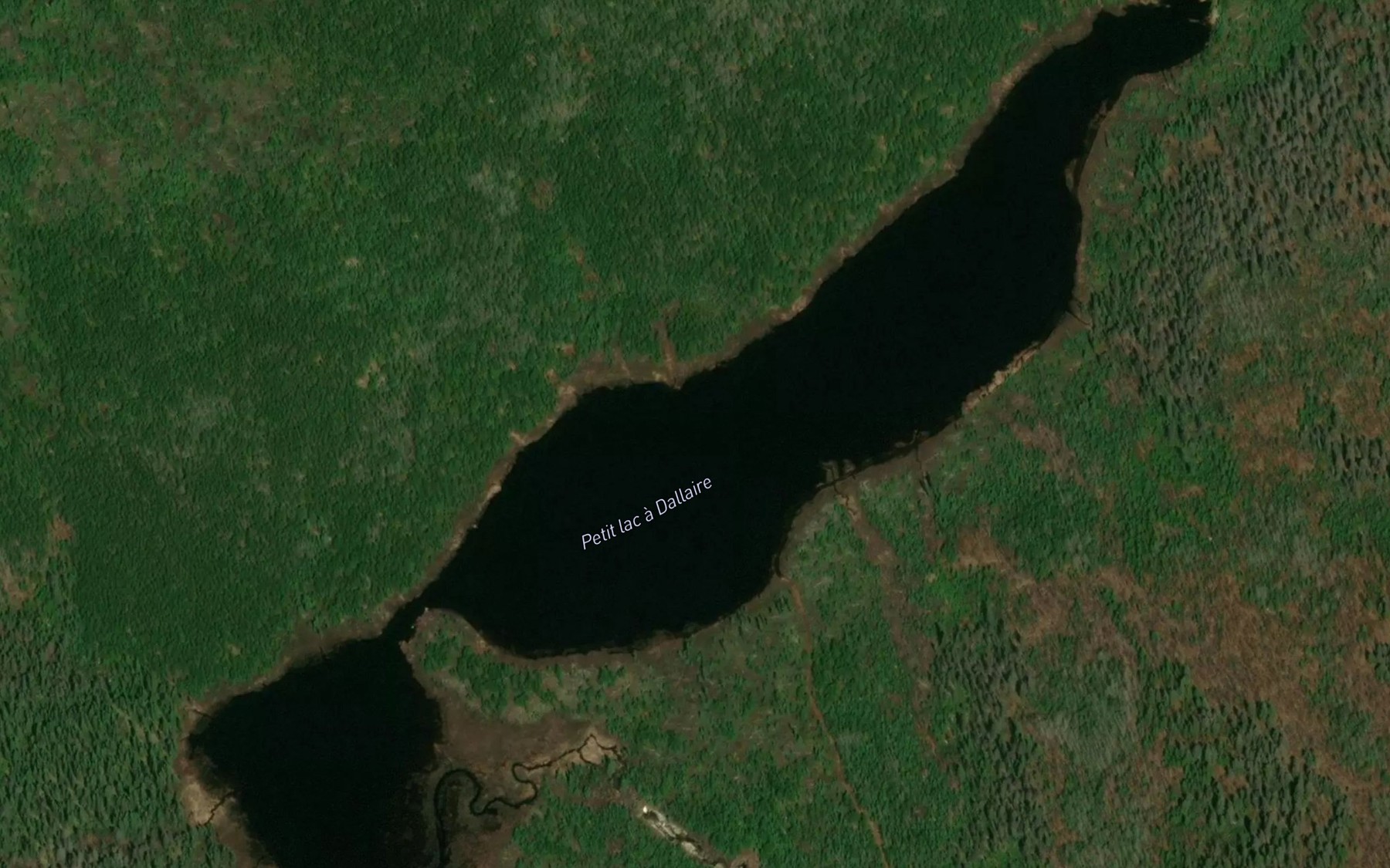 Satellite map of the Petit lac a Dallaire