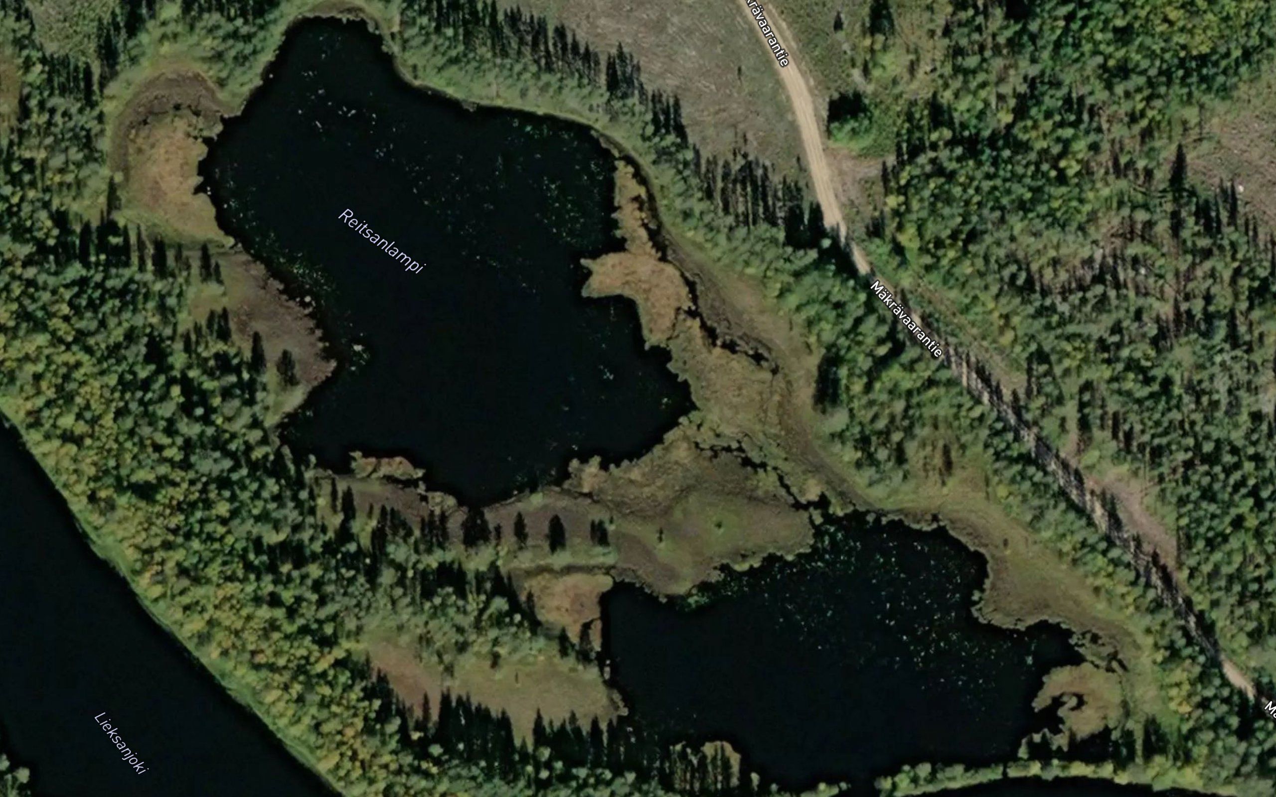 Reitsanlampi
