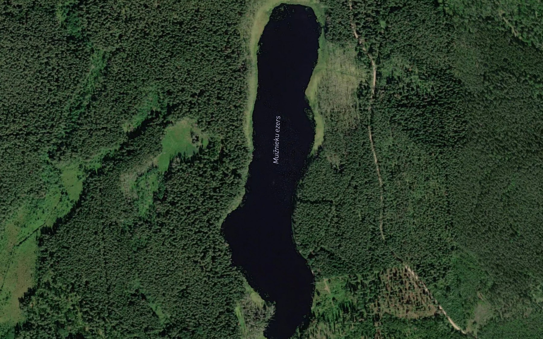 Satellite map of the Muiznieka Ezers