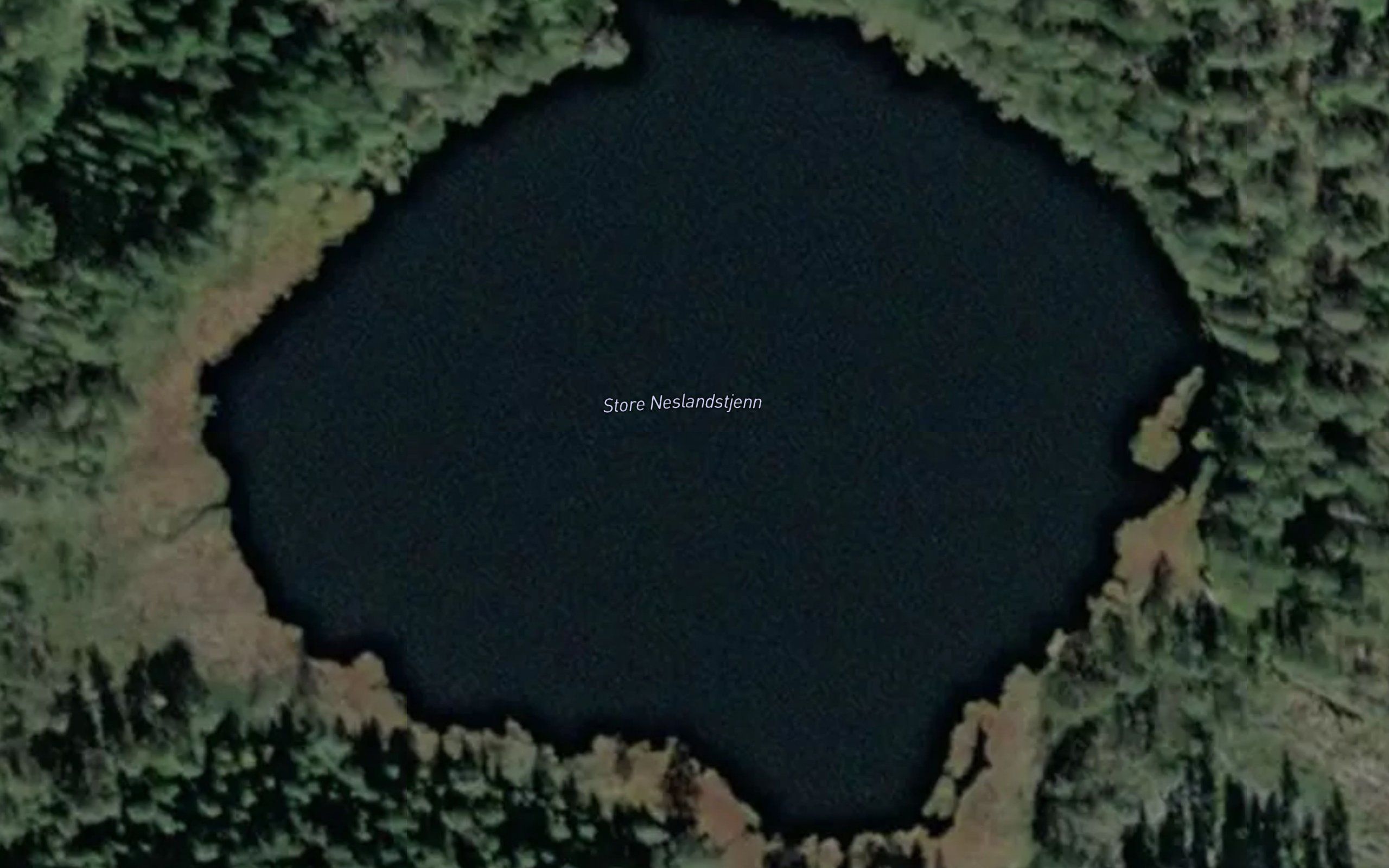 Store Neslandstjenn