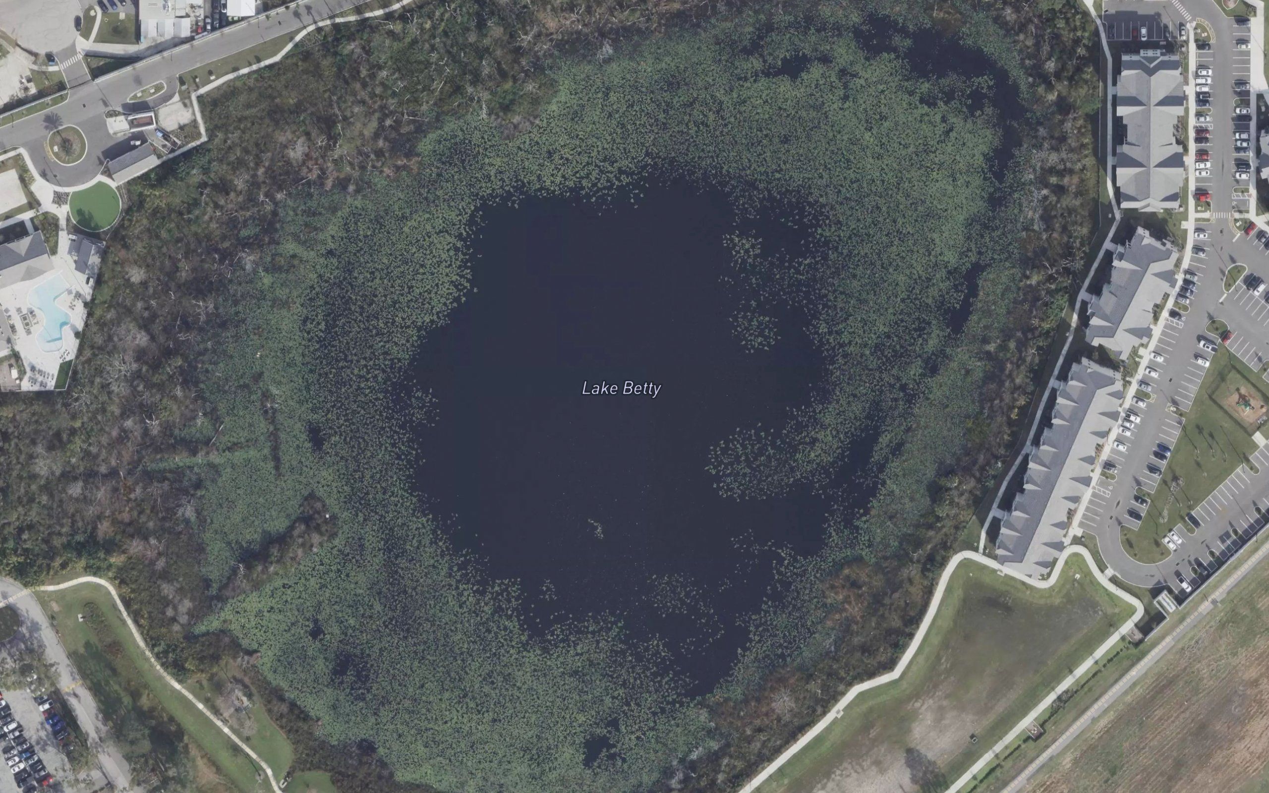 Lake Betty