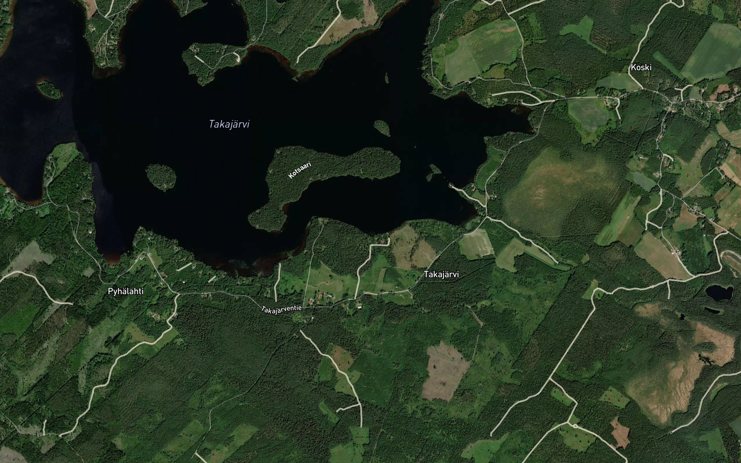 Lehmiojansuu
