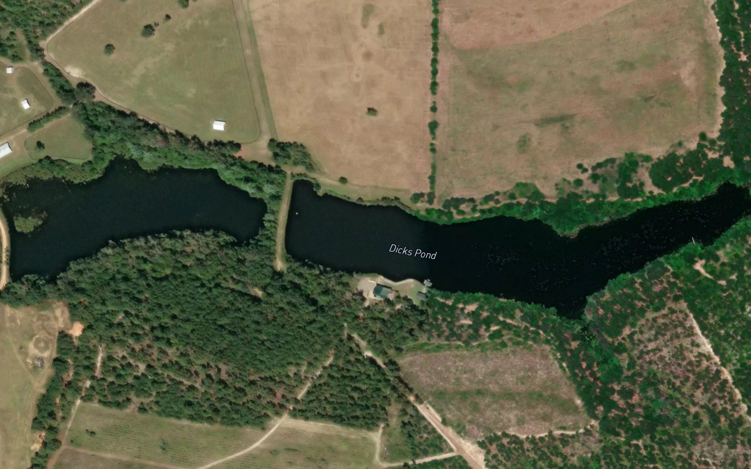 Dicks Pond