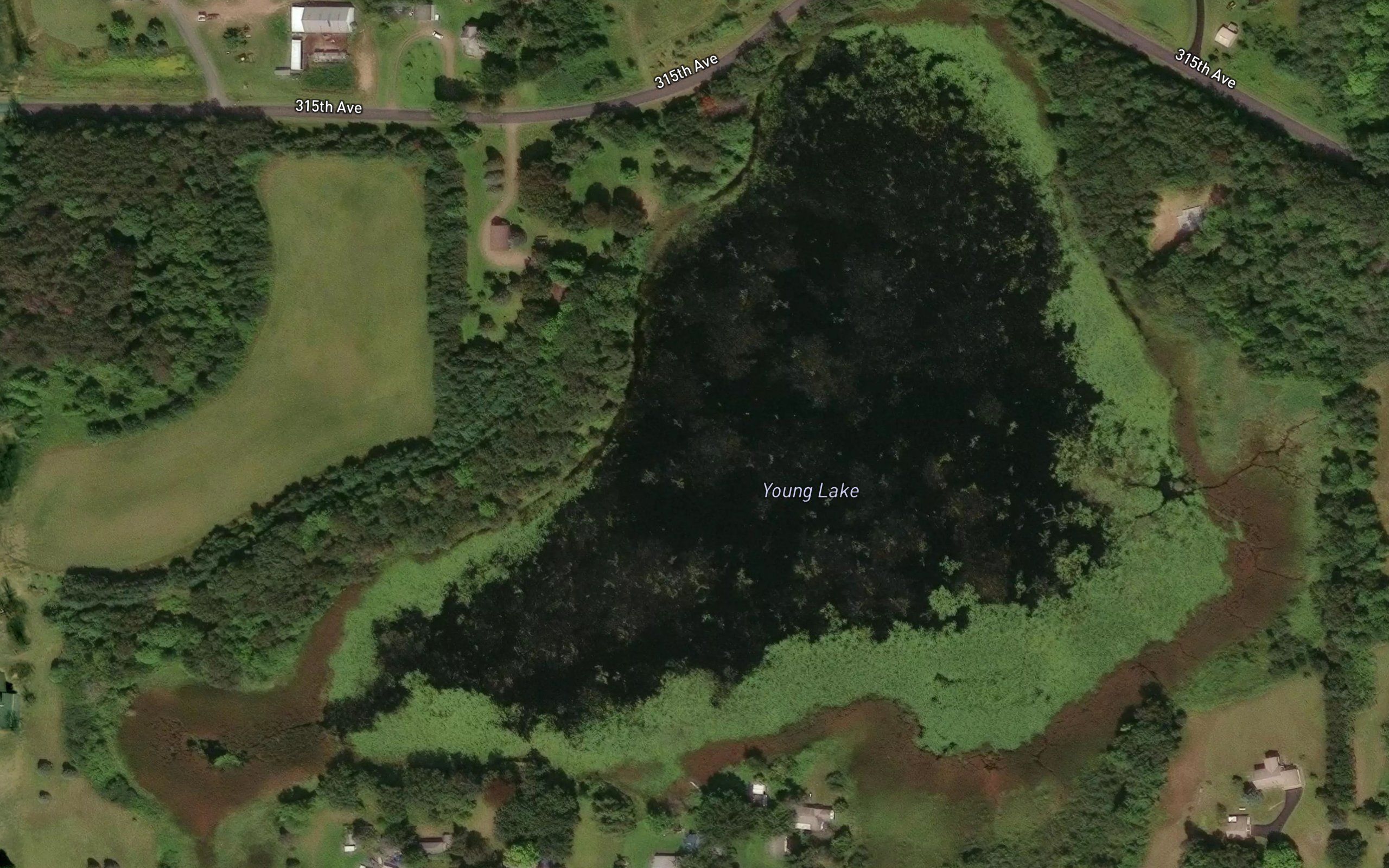 Young Lake