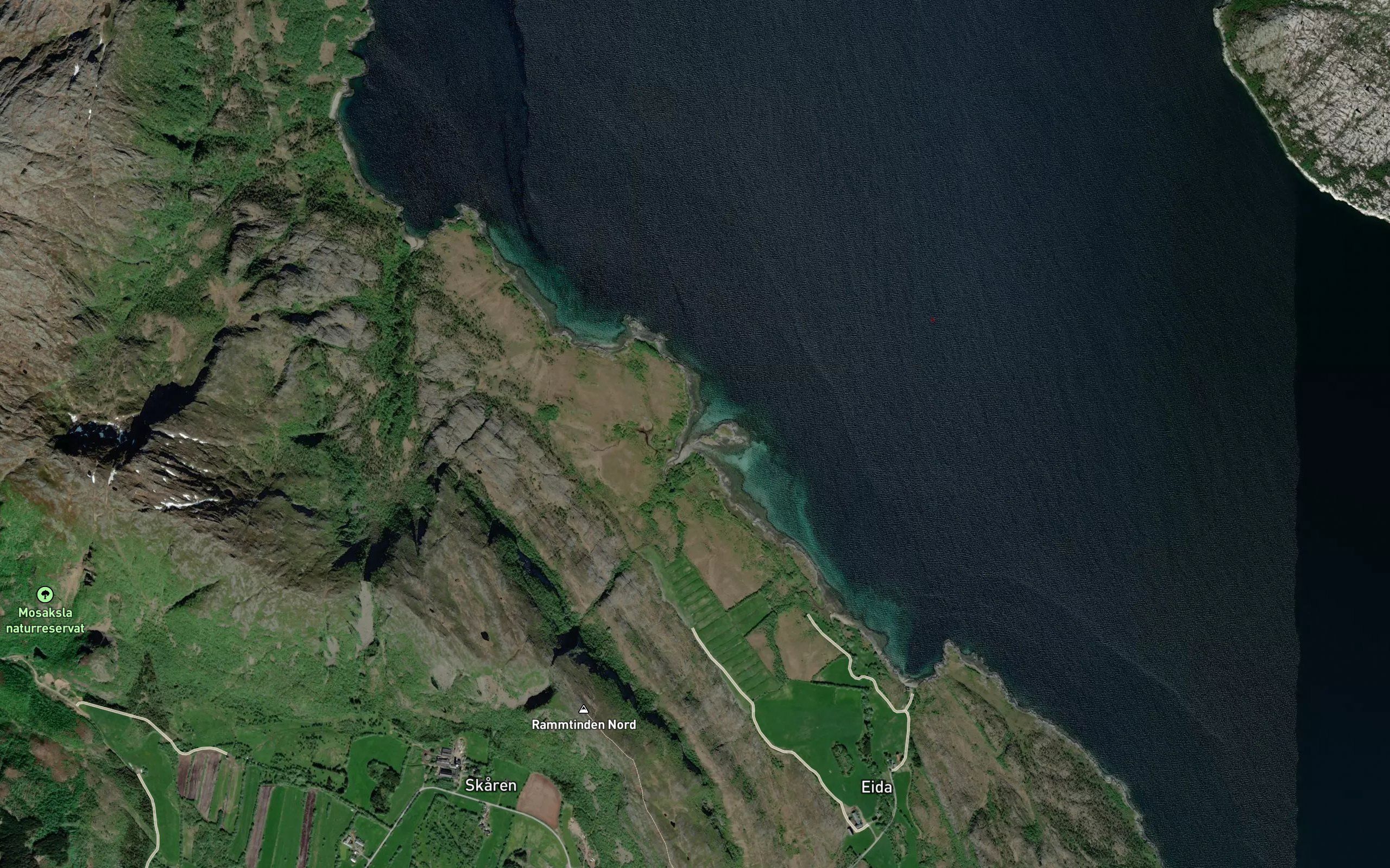 Buholmvalen