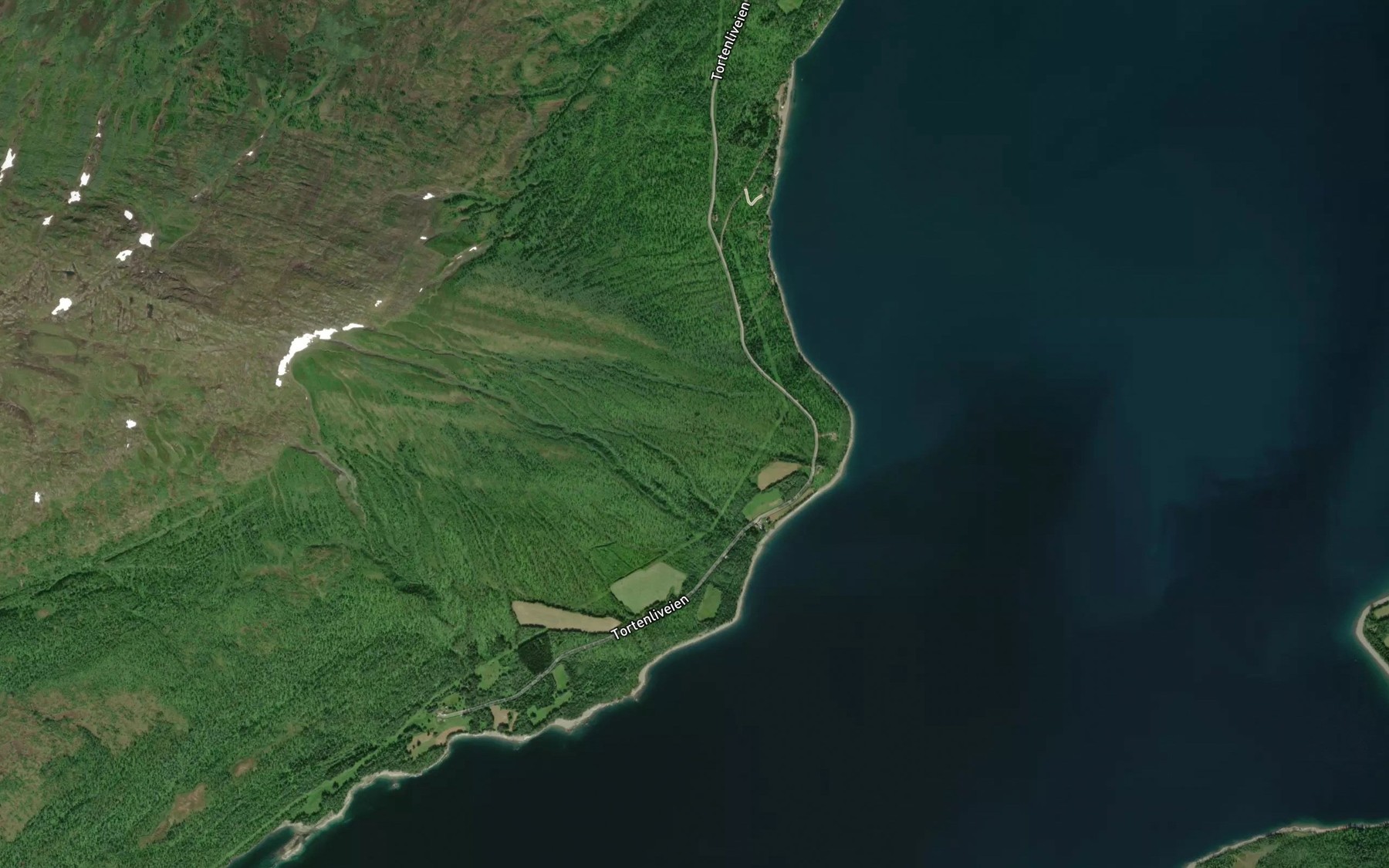 Satellite map of the Lanesbekken