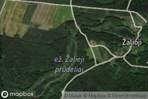 Ezeras Zalieji Prudeliai