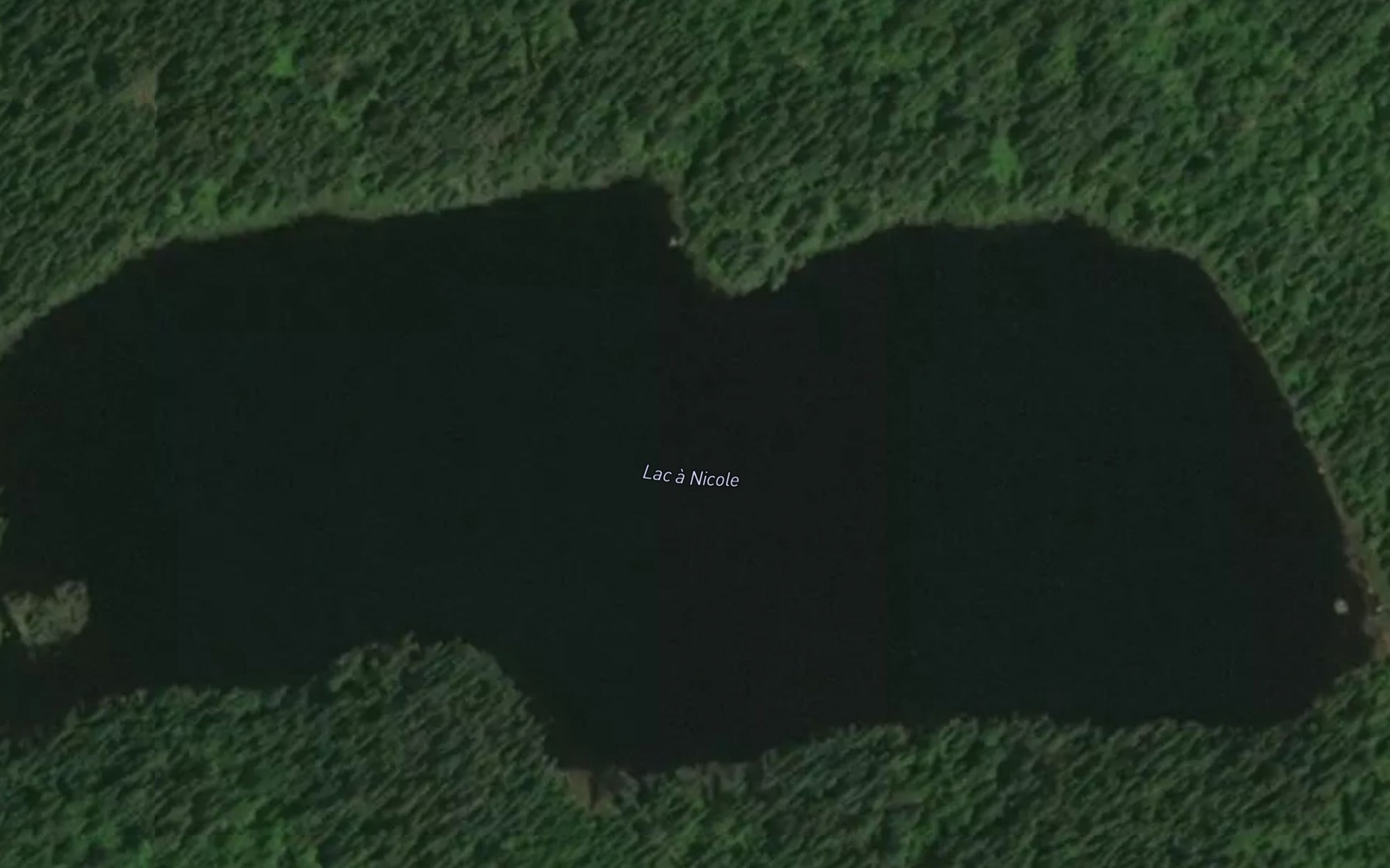 Satellite map of the Lac a Nicole