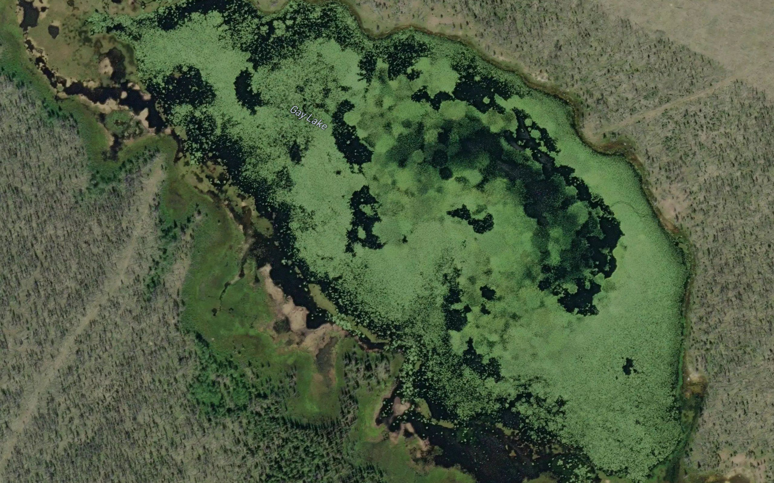 Gay Lake